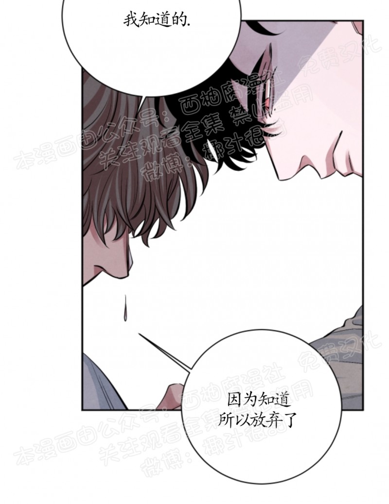 《珊瑚舒展的秘密》漫画最新章节第17话免费下拉式在线观看章节第【22】张图片