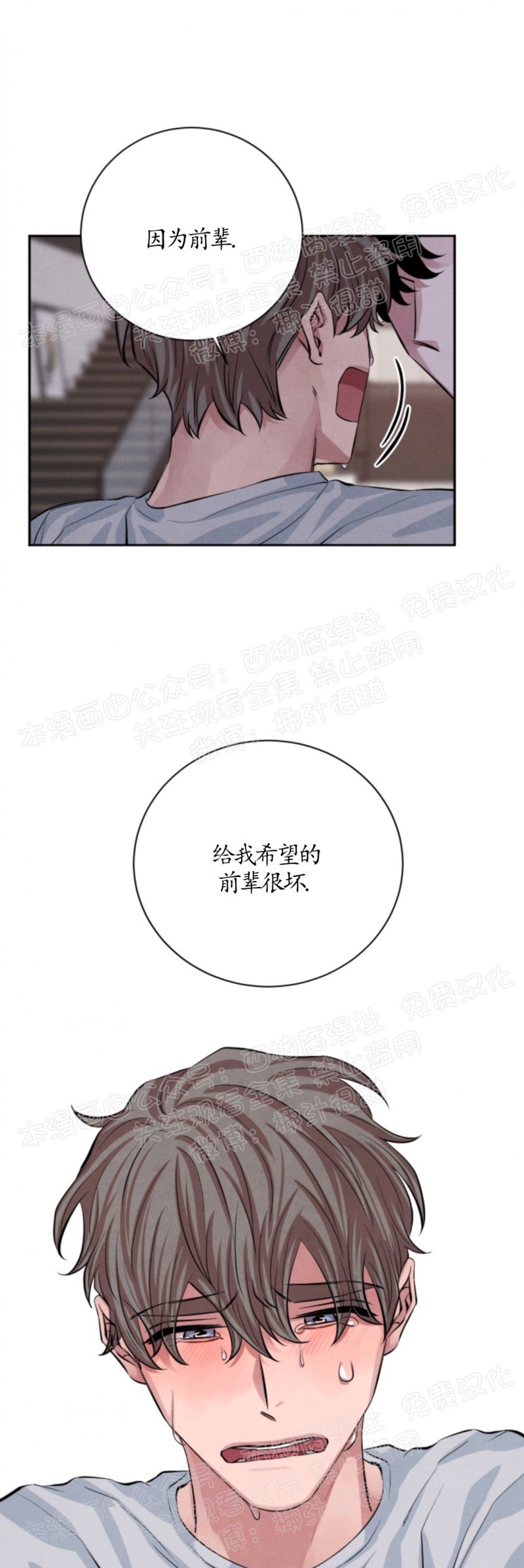 《珊瑚舒展的秘密》漫画最新章节第17话免费下拉式在线观看章节第【23】张图片