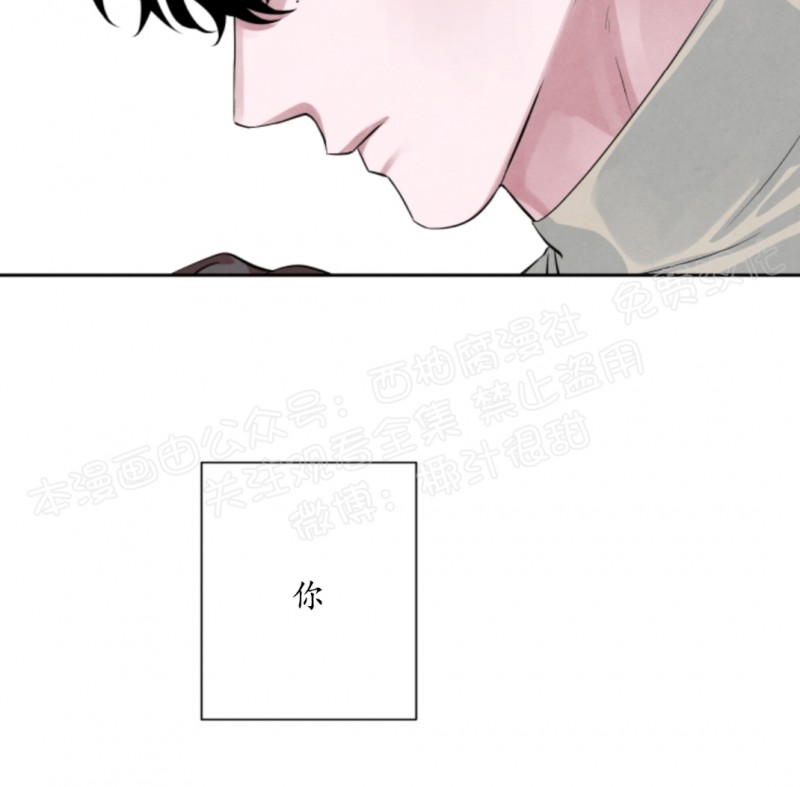 《珊瑚舒展的秘密》漫画最新章节第17话免费下拉式在线观看章节第【28】张图片