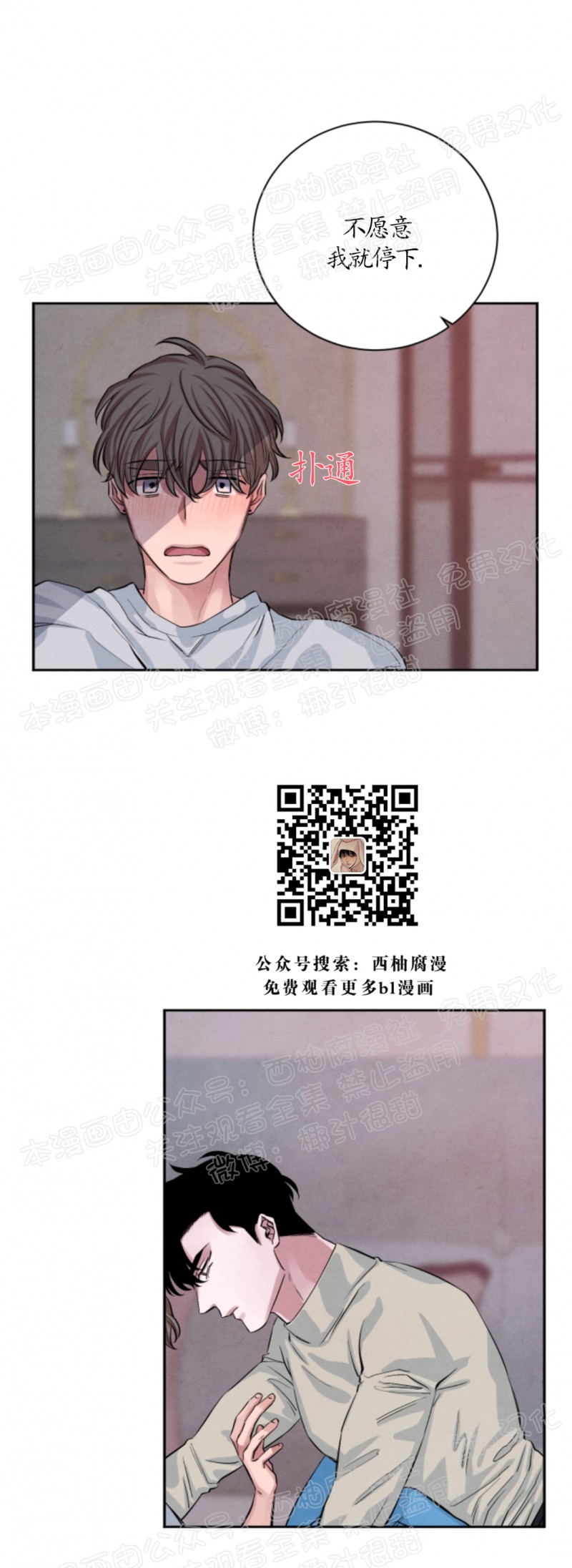 《珊瑚舒展的秘密》漫画最新章节第17话免费下拉式在线观看章节第【41】张图片