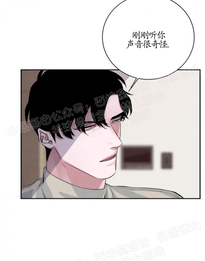 《珊瑚舒展的秘密》漫画最新章节第17话免费下拉式在线观看章节第【6】张图片