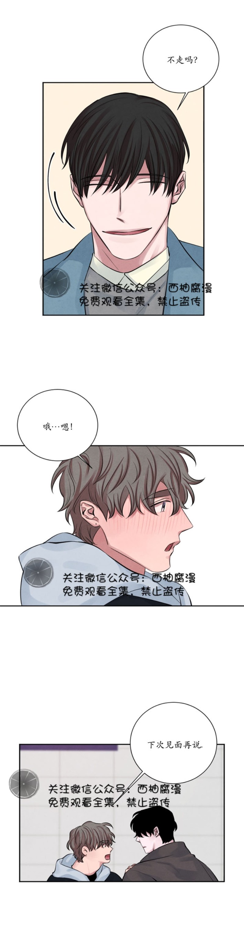 《珊瑚舒展的秘密》漫画最新章节第06话免费下拉式在线观看章节第【9】张图片