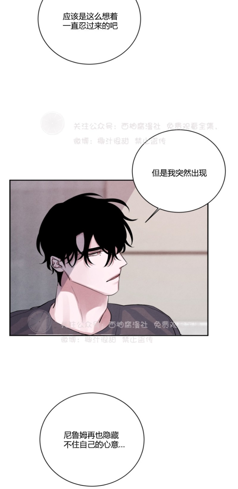 《珊瑚舒展的秘密》漫画最新章节第13话免费下拉式在线观看章节第【12】张图片