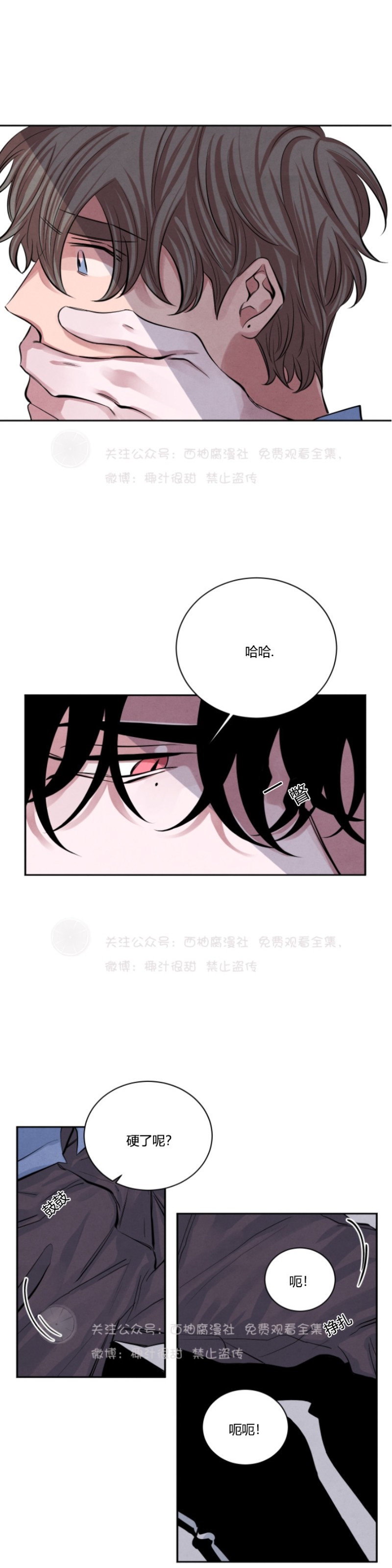 《珊瑚舒展的秘密》漫画最新章节第13话免费下拉式在线观看章节第【24】张图片