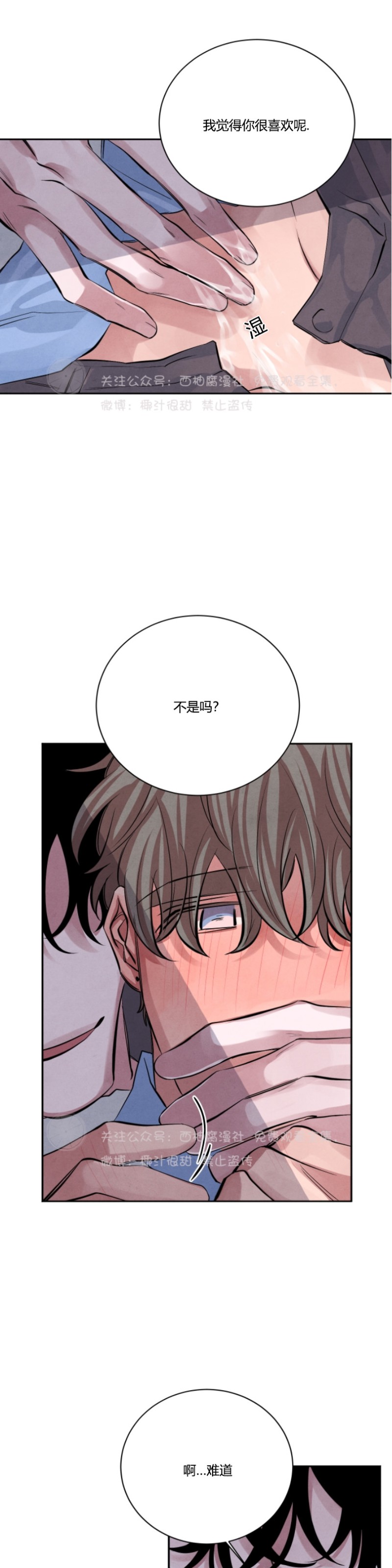 《珊瑚舒展的秘密》漫画最新章节第13话免费下拉式在线观看章节第【28】张图片