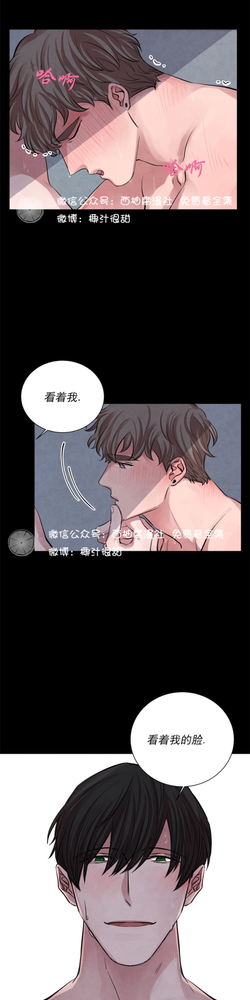 《珊瑚舒展的秘密》漫画最新章节第05话免费下拉式在线观看章节第【3】张图片