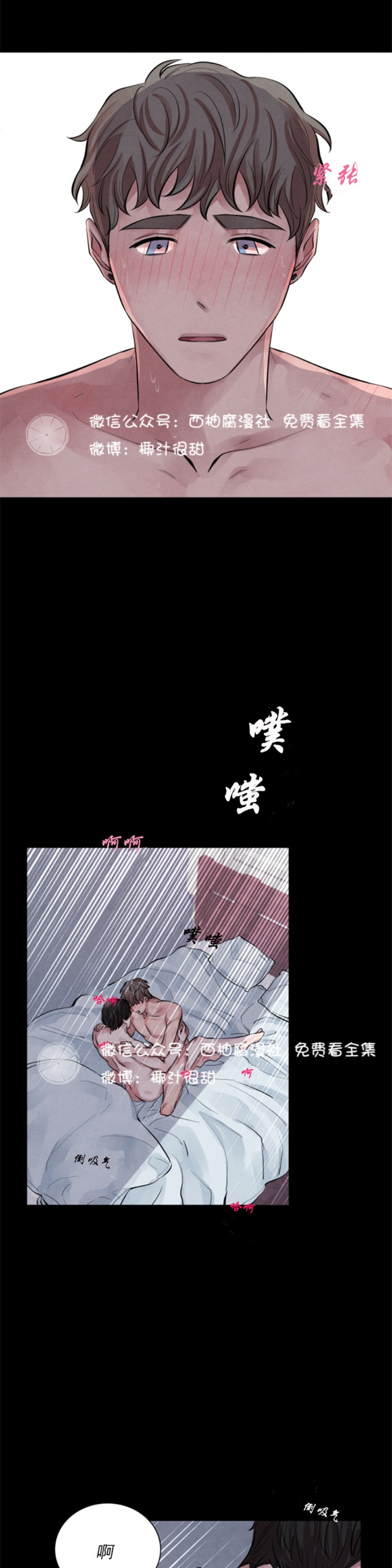 《珊瑚舒展的秘密》漫画最新章节第05话免费下拉式在线观看章节第【5】张图片