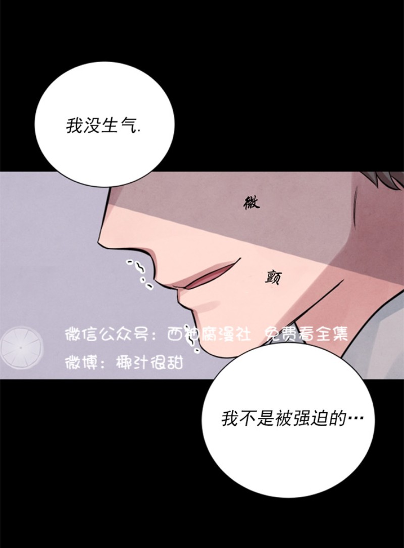 《珊瑚舒展的秘密》漫画最新章节第05话免费下拉式在线观看章节第【11】张图片