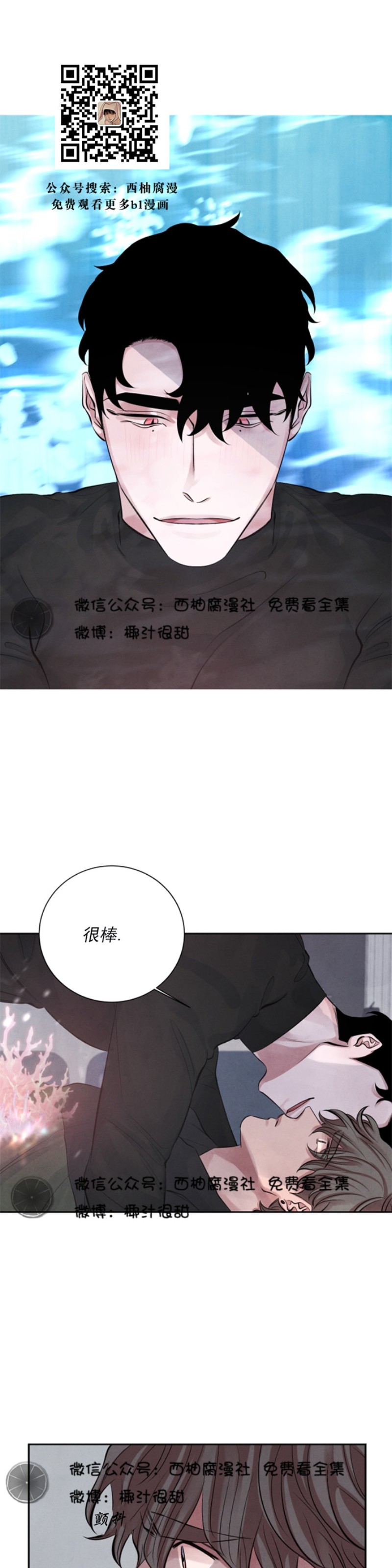 《珊瑚舒展的秘密》漫画最新章节第05话免费下拉式在线观看章节第【17】张图片