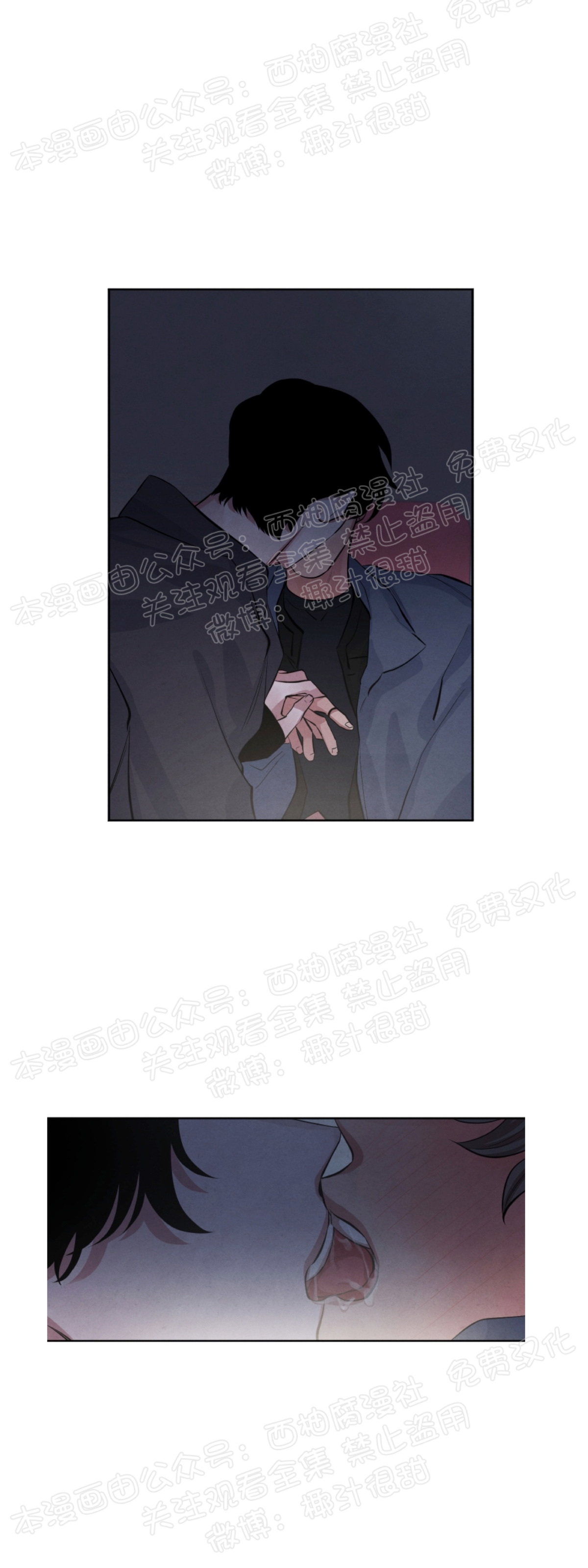 《珊瑚舒展的秘密》漫画最新章节第21话免费下拉式在线观看章节第【5】张图片