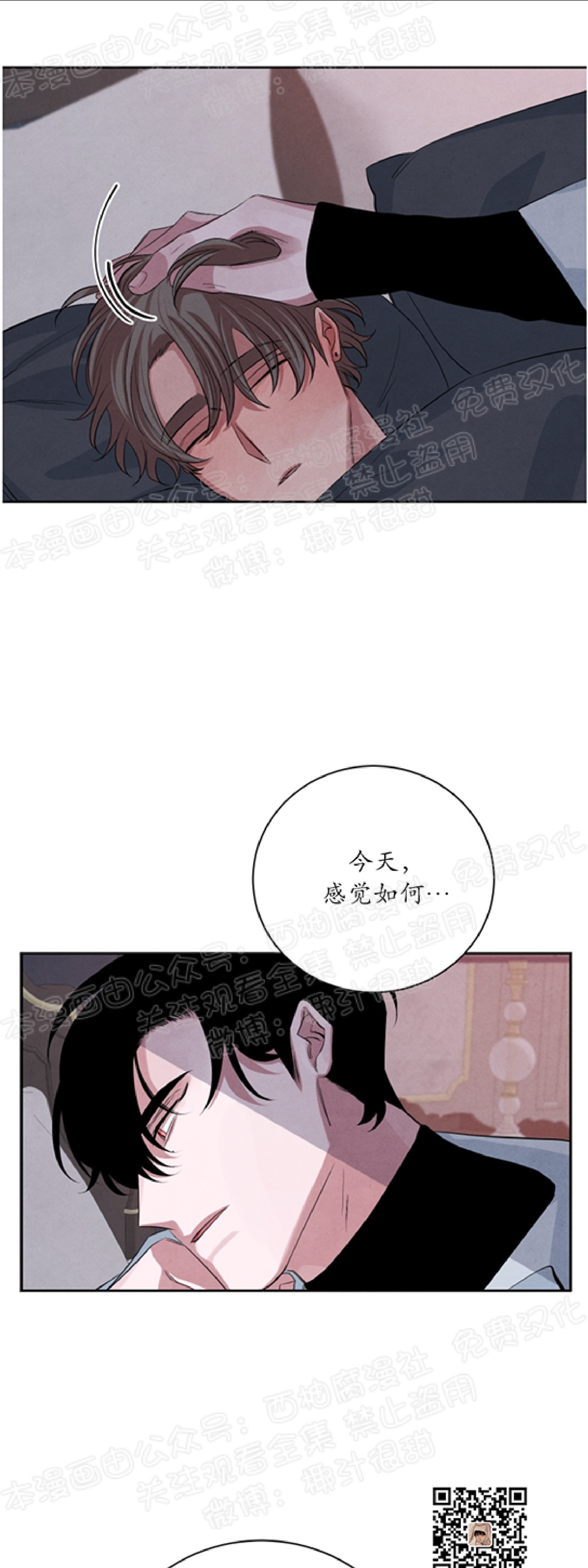 《珊瑚舒展的秘密》漫画最新章节第22话免费下拉式在线观看章节第【31】张图片