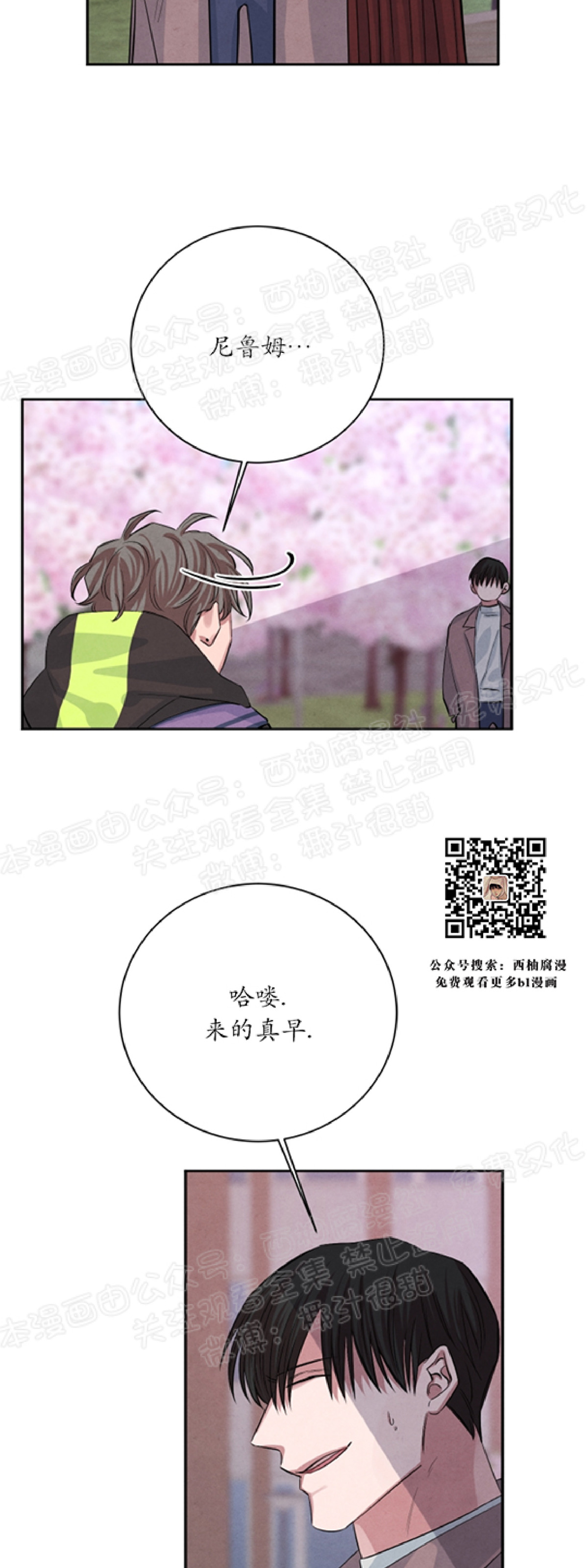 《珊瑚舒展的秘密》漫画最新章节第23话免费下拉式在线观看章节第【31】张图片