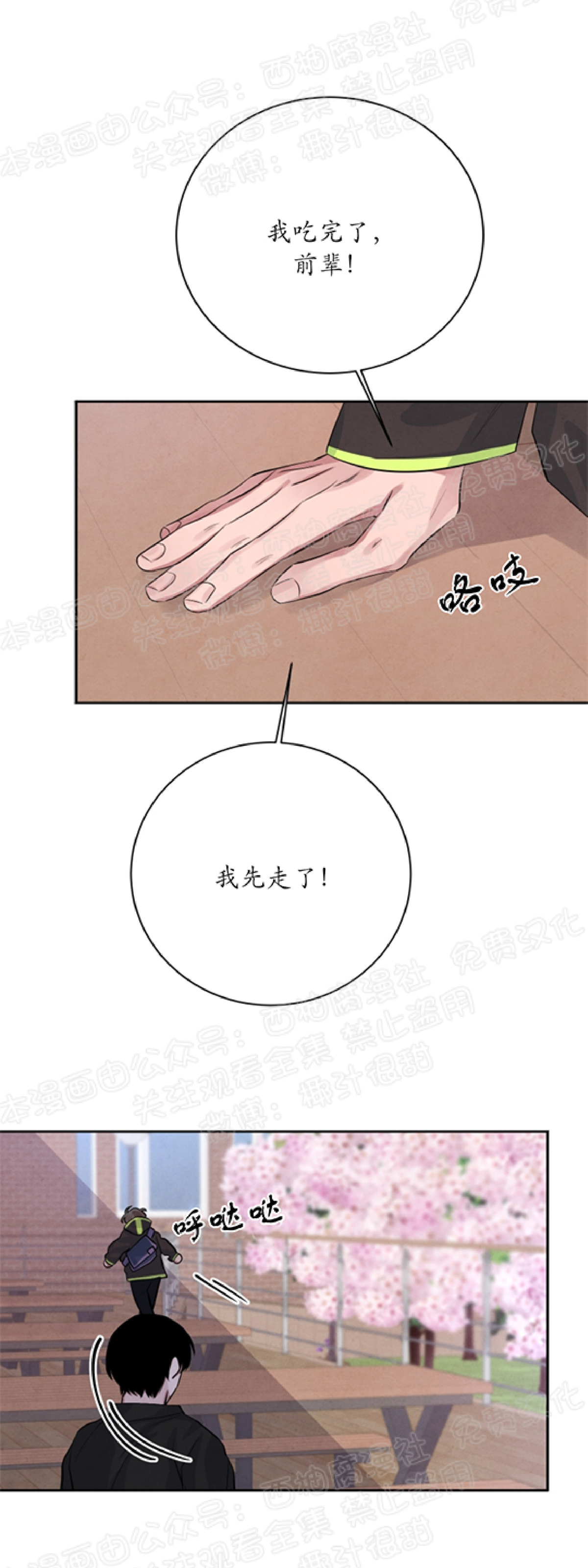 《珊瑚舒展的秘密》漫画最新章节第23话免费下拉式在线观看章节第【39】张图片