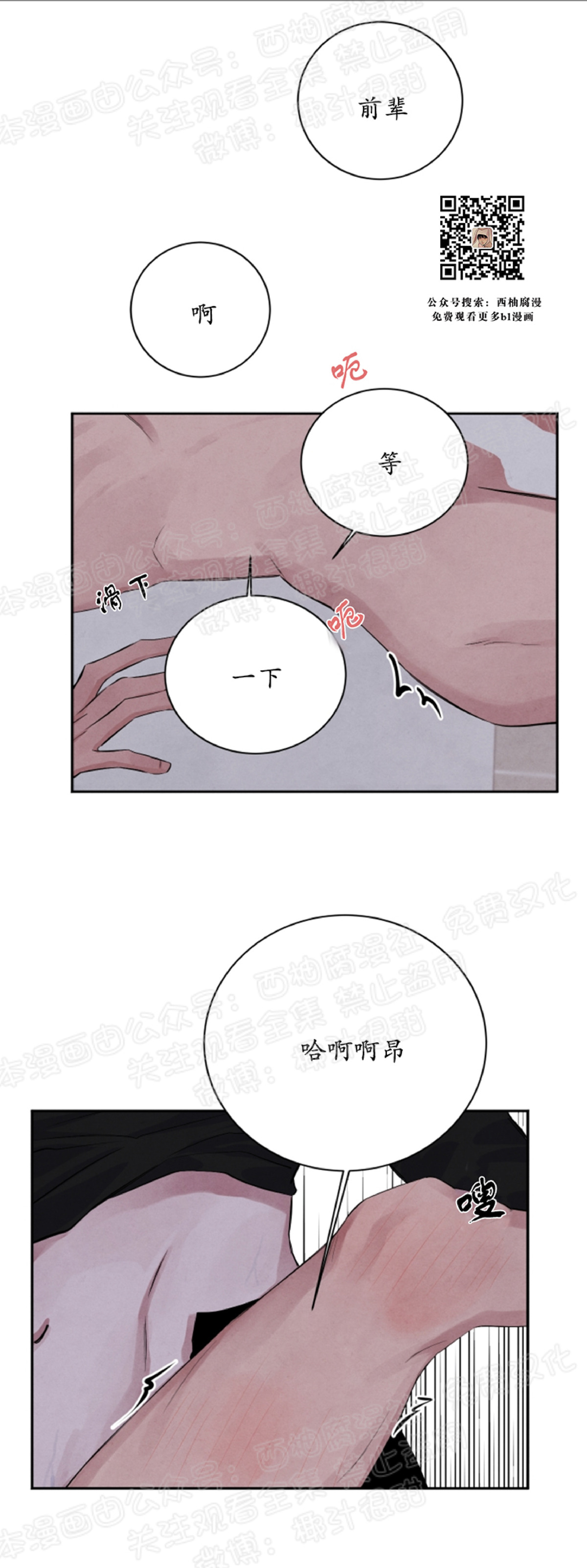 《珊瑚舒展的秘密》漫画最新章节第24话免费下拉式在线观看章节第【29】张图片