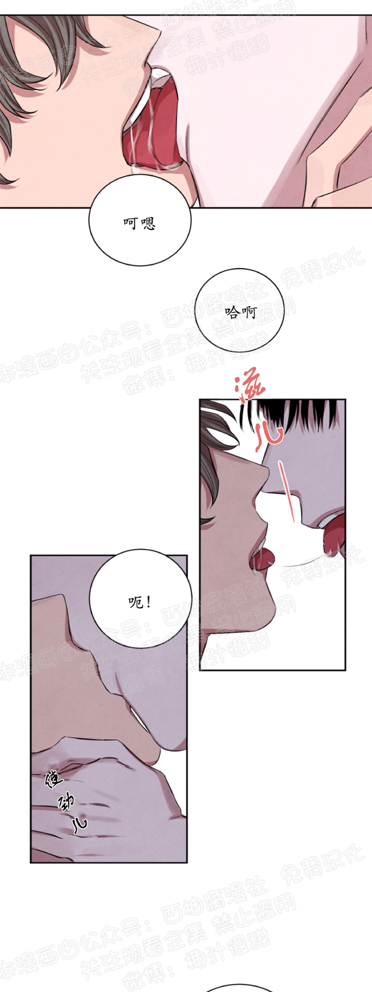 《珊瑚舒展的秘密》漫画最新章节第24话免费下拉式在线观看章节第【24】张图片