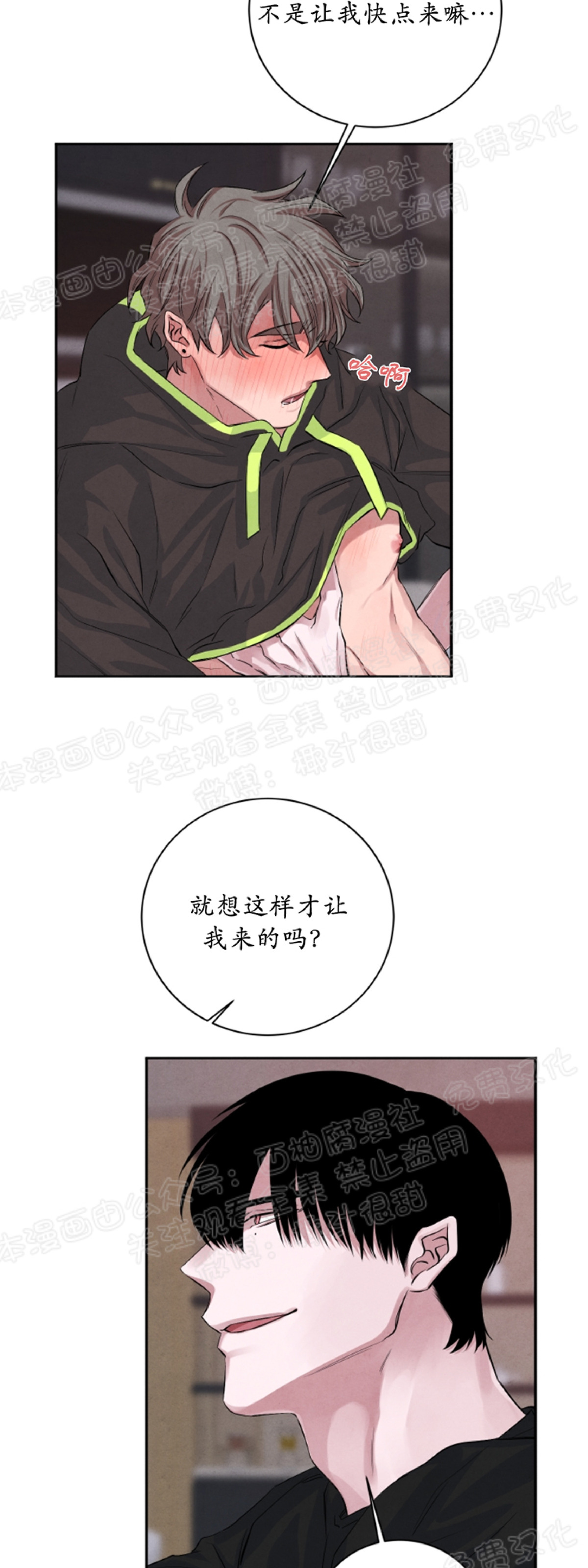 《珊瑚舒展的秘密》漫画最新章节第24话免费下拉式在线观看章节第【19】张图片