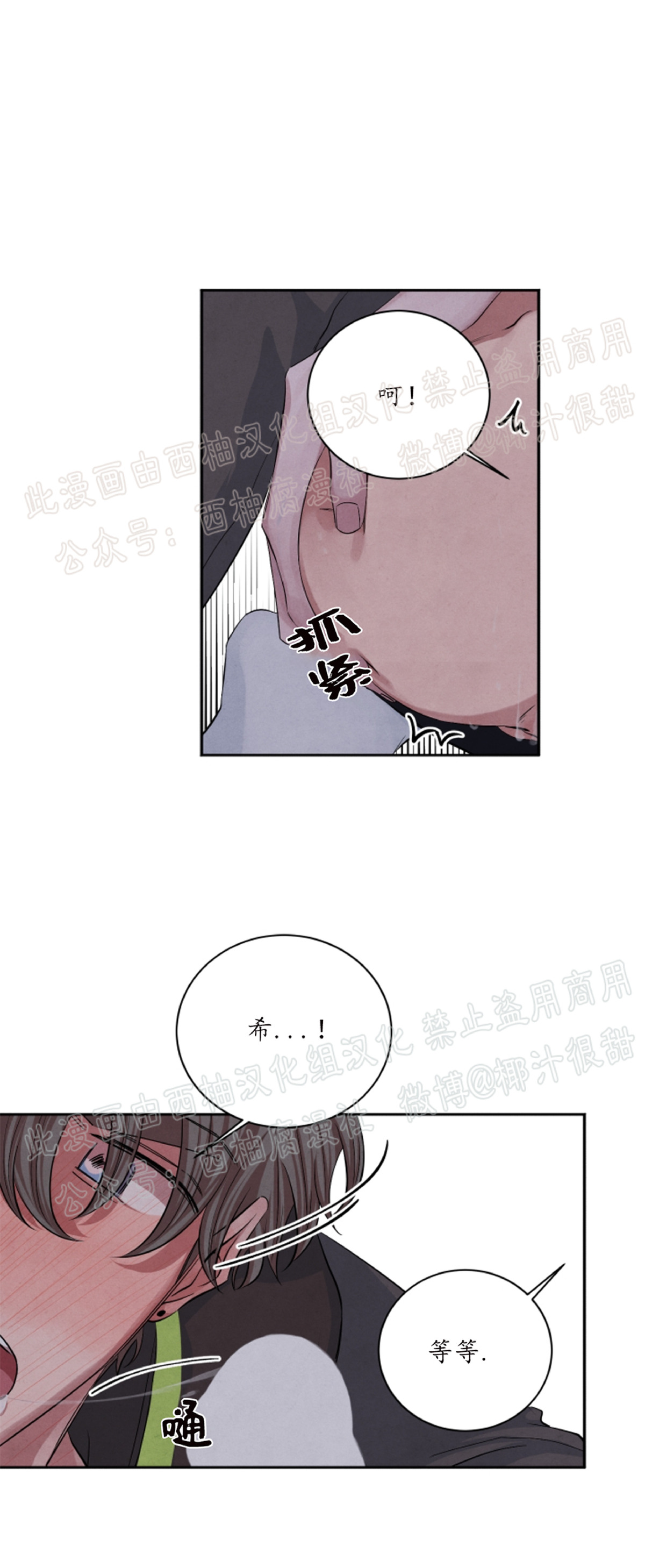 《珊瑚舒展的秘密》漫画最新章节第28话免费下拉式在线观看章节第【6】张图片