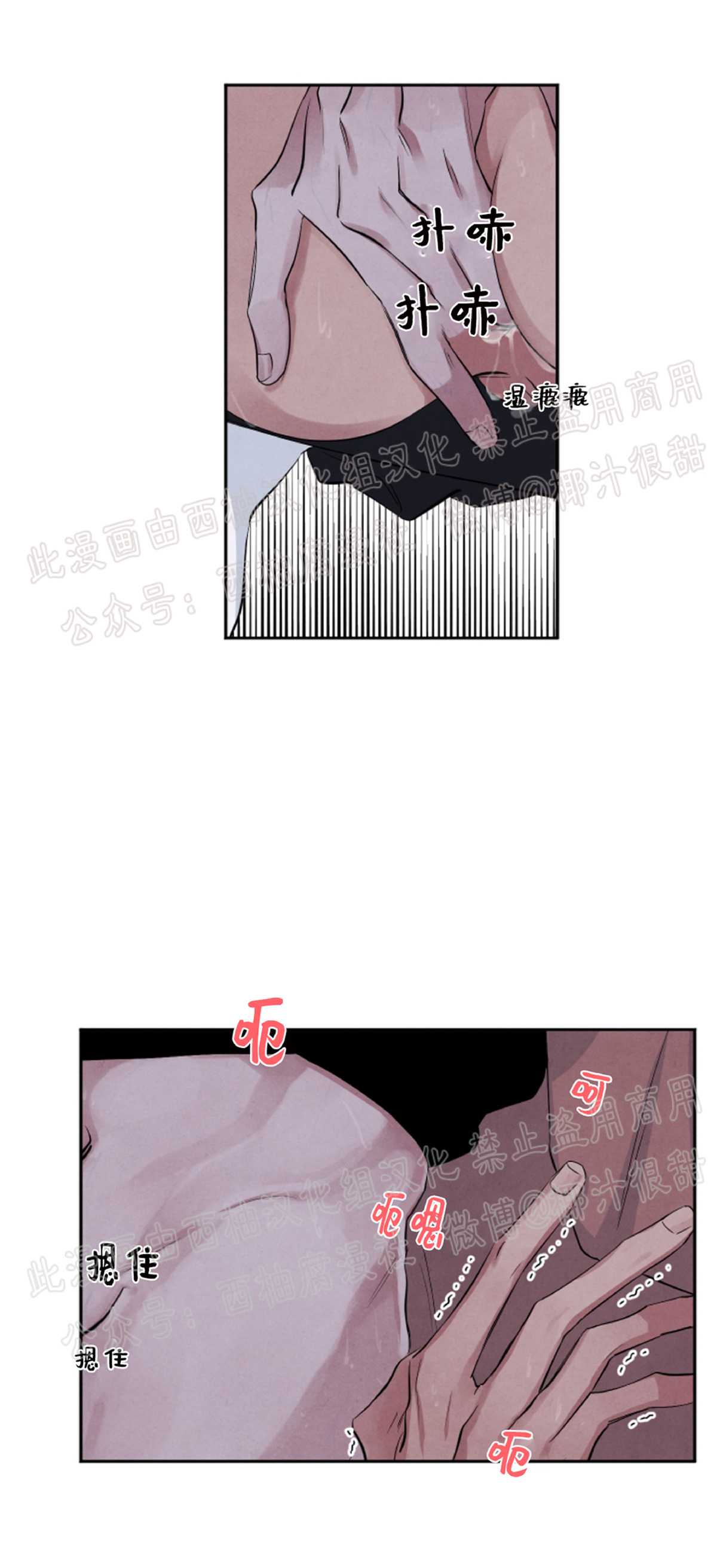 《珊瑚舒展的秘密》漫画最新章节第28话免费下拉式在线观看章节第【11】张图片