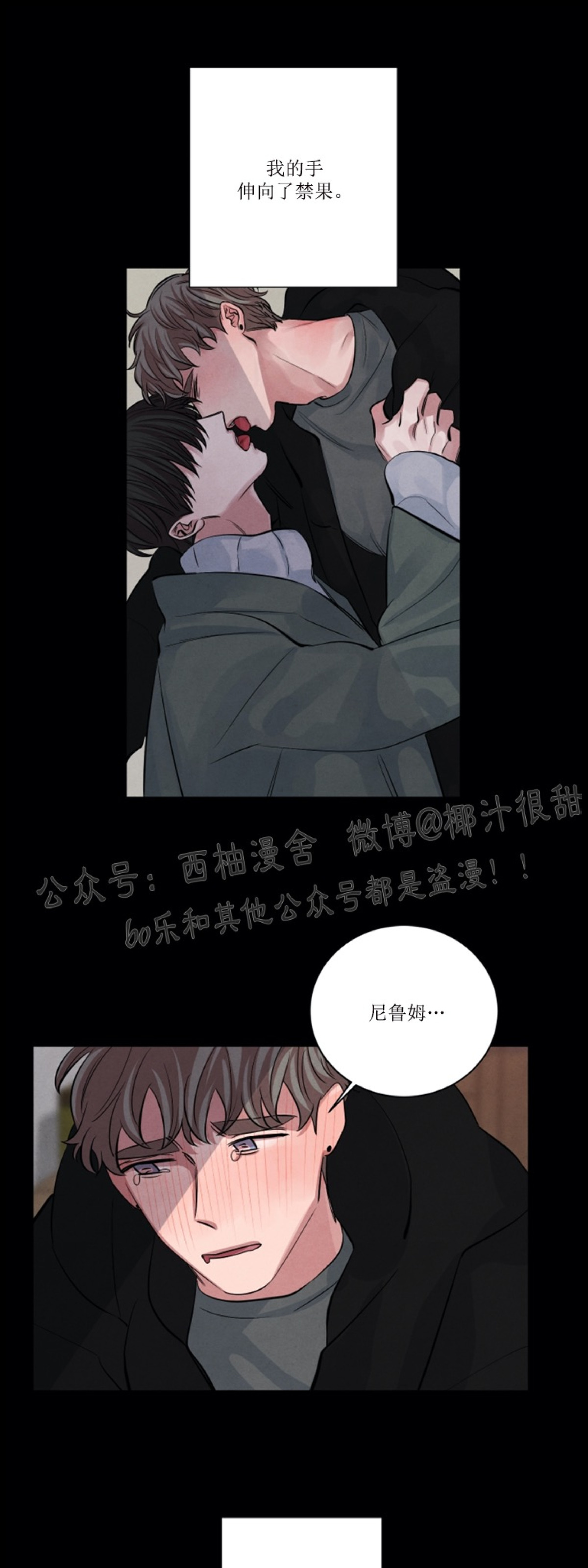 《珊瑚舒展的秘密》漫画最新章节第33话免费下拉式在线观看章节第【35】张图片