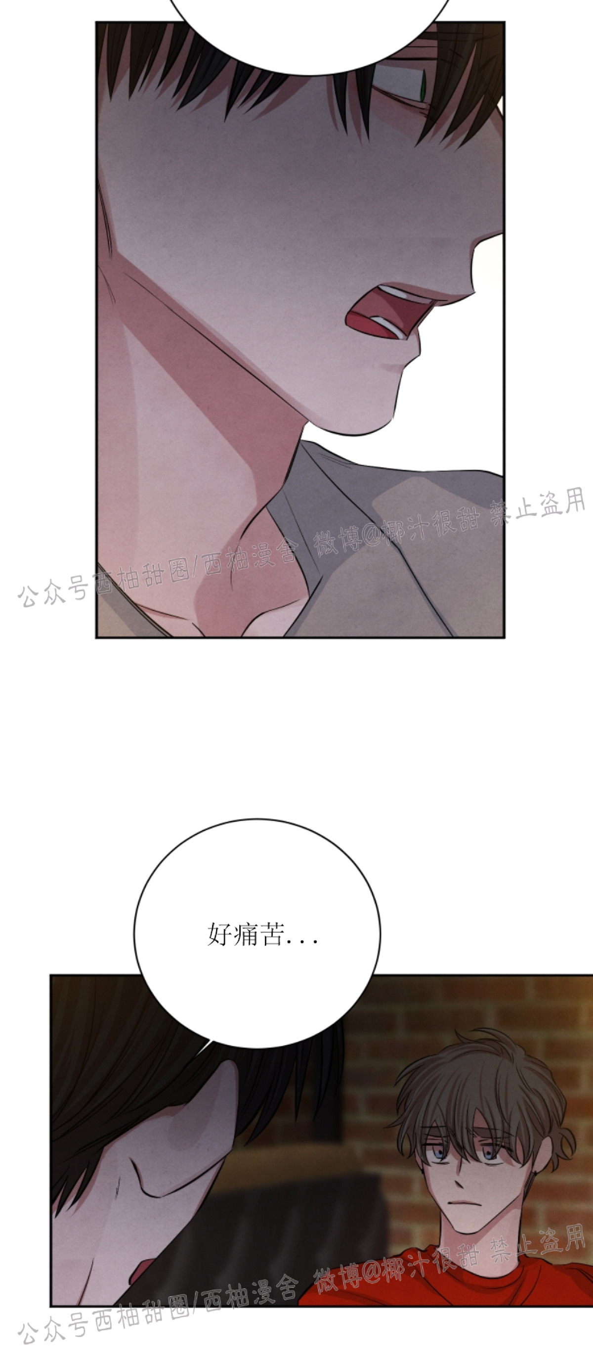 《珊瑚舒展的秘密》漫画最新章节第35话免费下拉式在线观看章节第【18】张图片