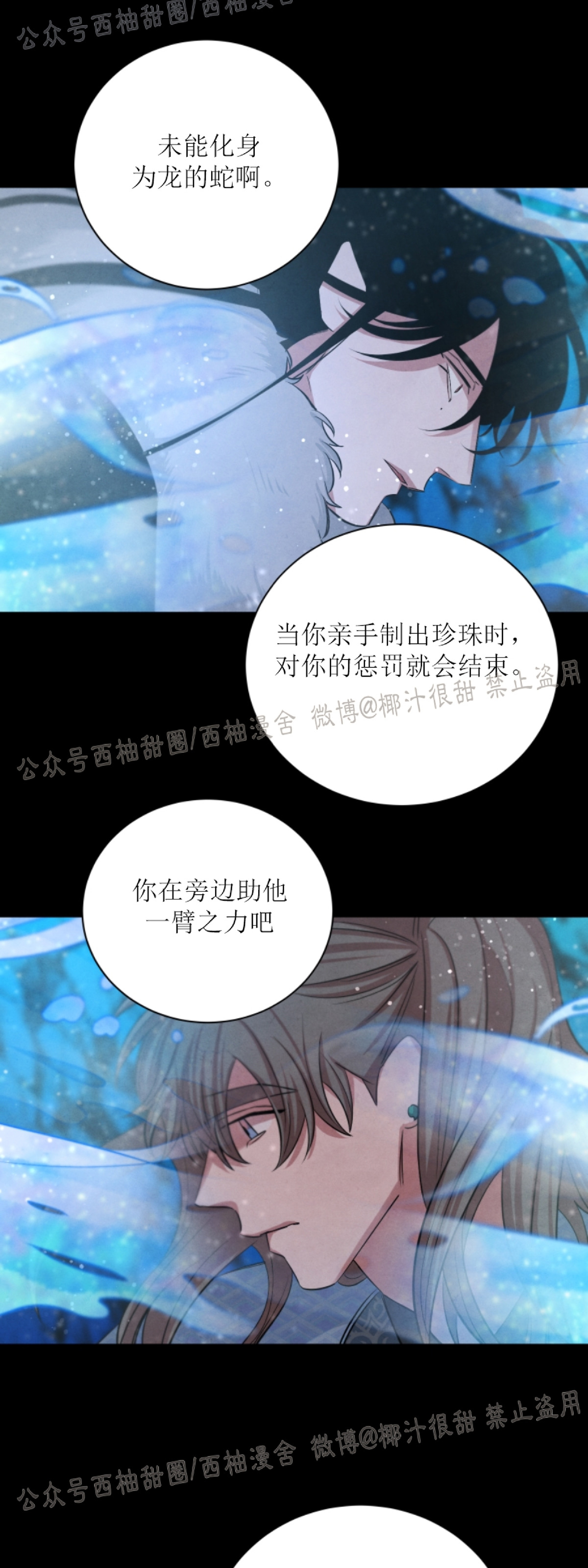 《珊瑚舒展的秘密》漫画最新章节第35话免费下拉式在线观看章节第【5】张图片