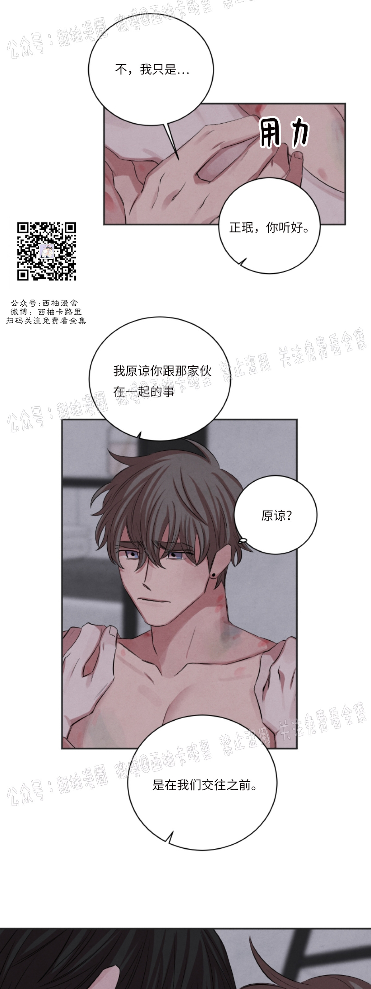 《珊瑚舒展的秘密》漫画最新章节第41话免费下拉式在线观看章节第【3】张图片