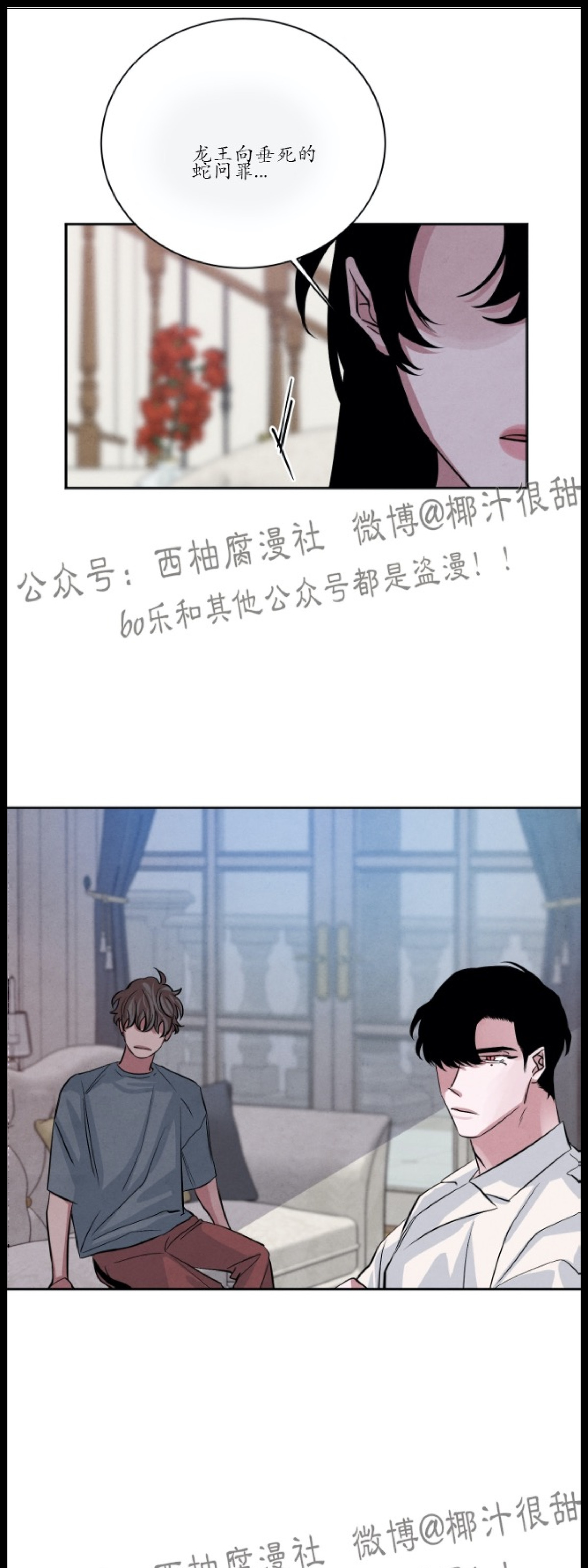 《珊瑚舒展的秘密》漫画最新章节第30话免费下拉式在线观看章节第【23】张图片