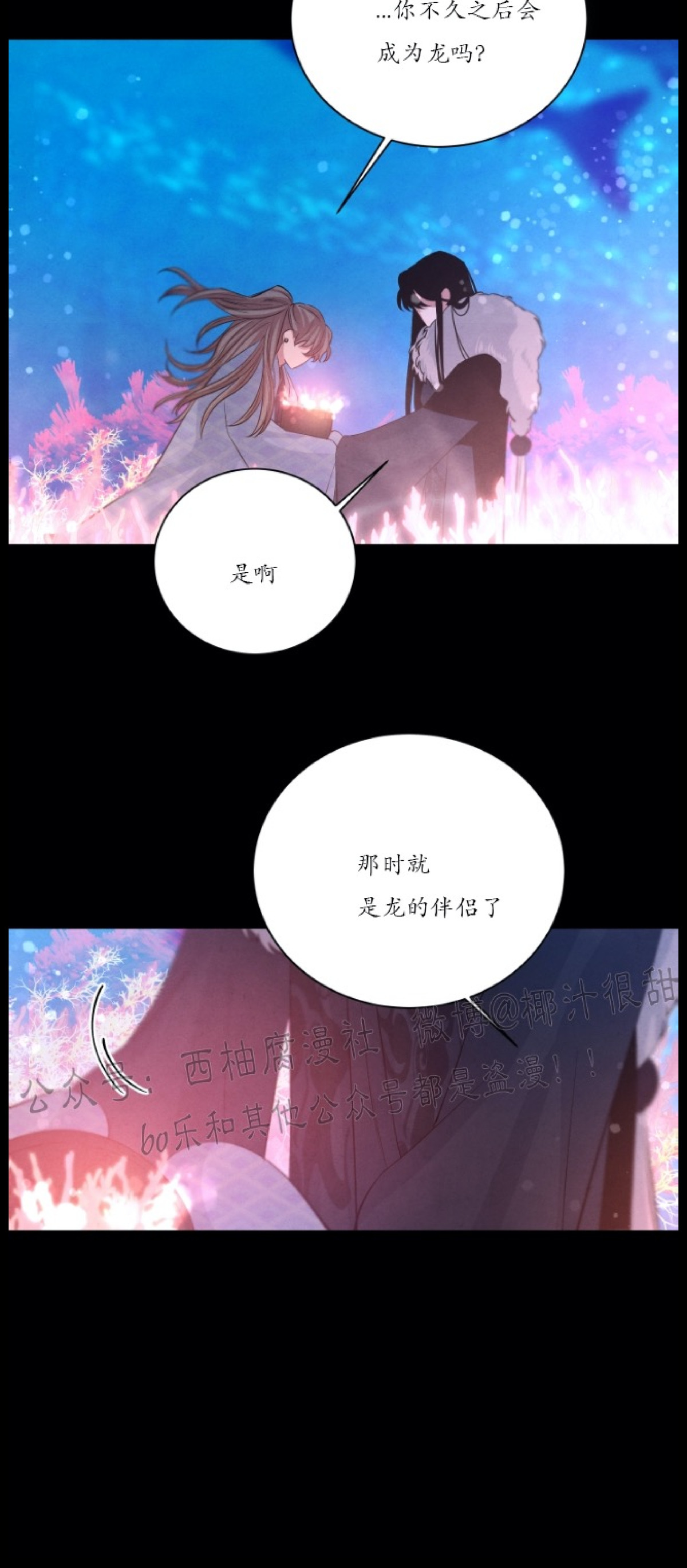 《珊瑚舒展的秘密》漫画最新章节第30话免费下拉式在线观看章节第【4】张图片