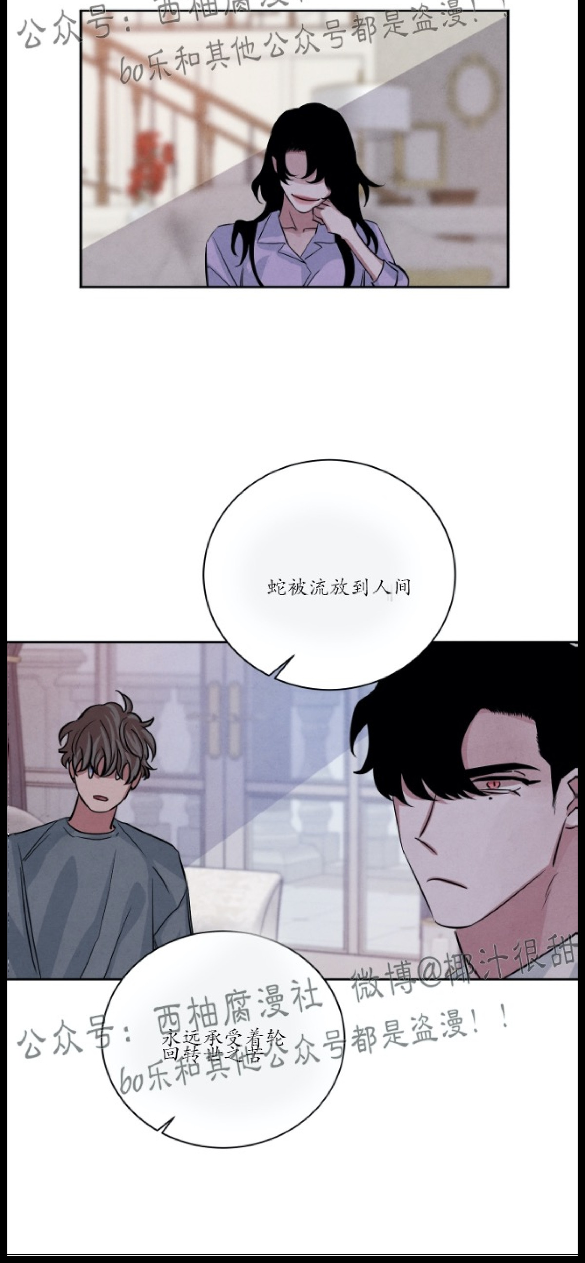 《珊瑚舒展的秘密》漫画最新章节第30话免费下拉式在线观看章节第【24】张图片