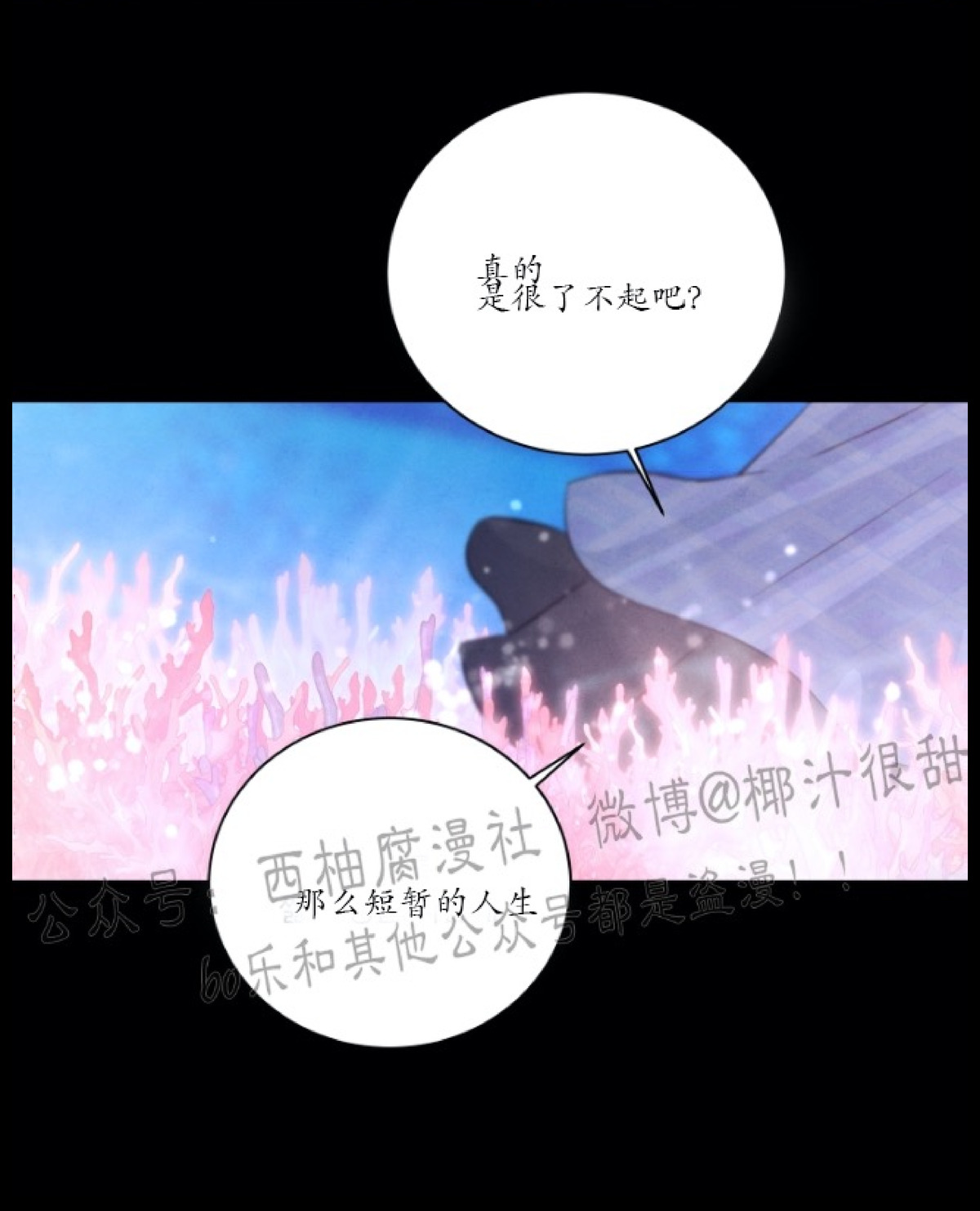 《珊瑚舒展的秘密》漫画最新章节第30话免费下拉式在线观看章节第【8】张图片