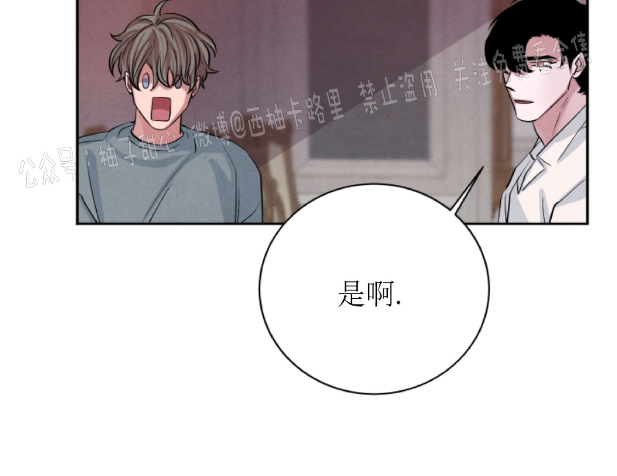 《珊瑚舒展的秘密》漫画最新章节第31话免费下拉式在线观看章节第【2】张图片