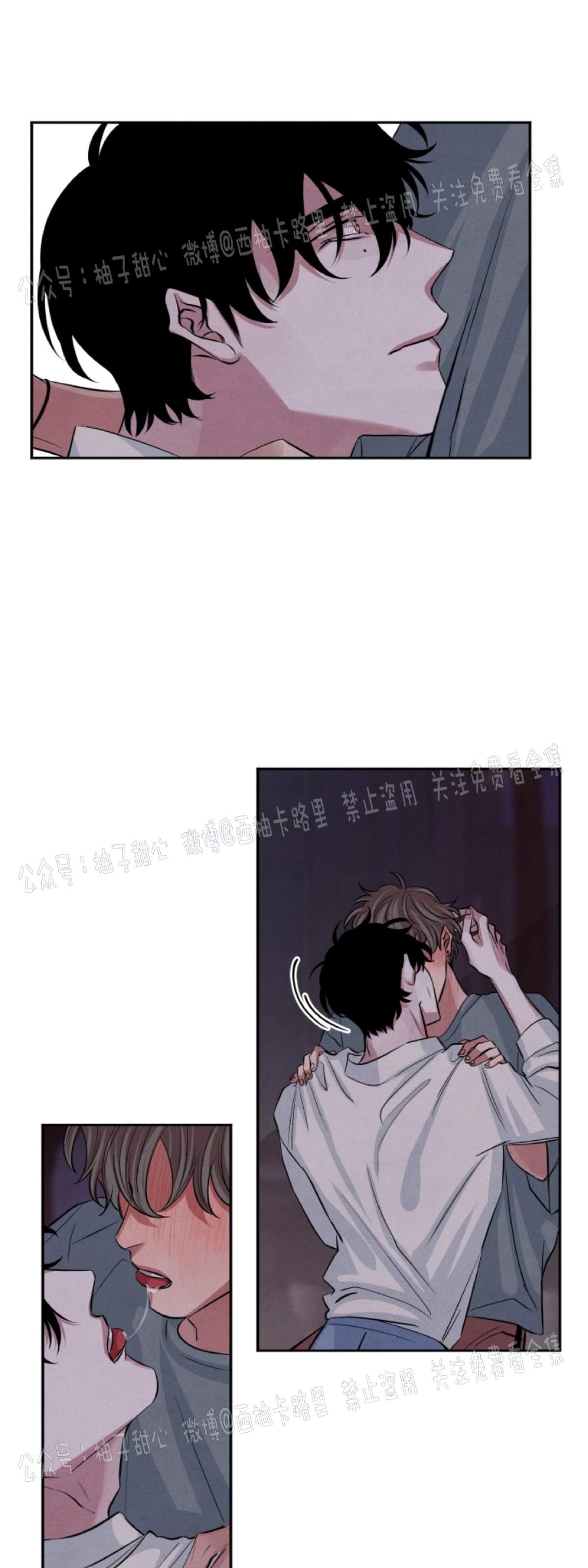 《珊瑚舒展的秘密》漫画最新章节第31话免费下拉式在线观看章节第【30】张图片