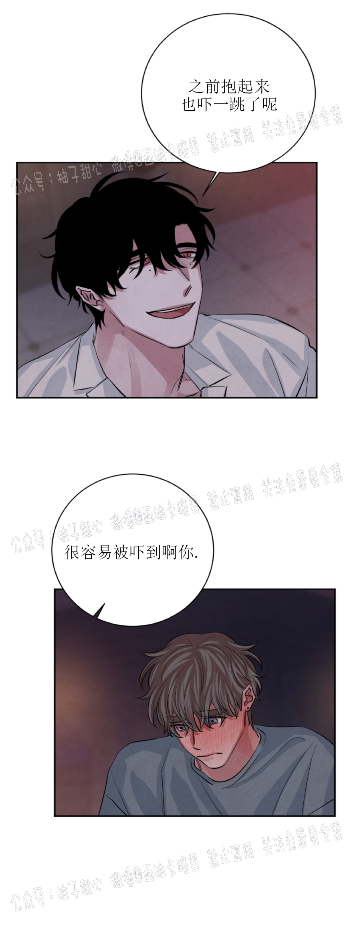 《珊瑚舒展的秘密》漫画最新章节第31话免费下拉式在线观看章节第【45】张图片