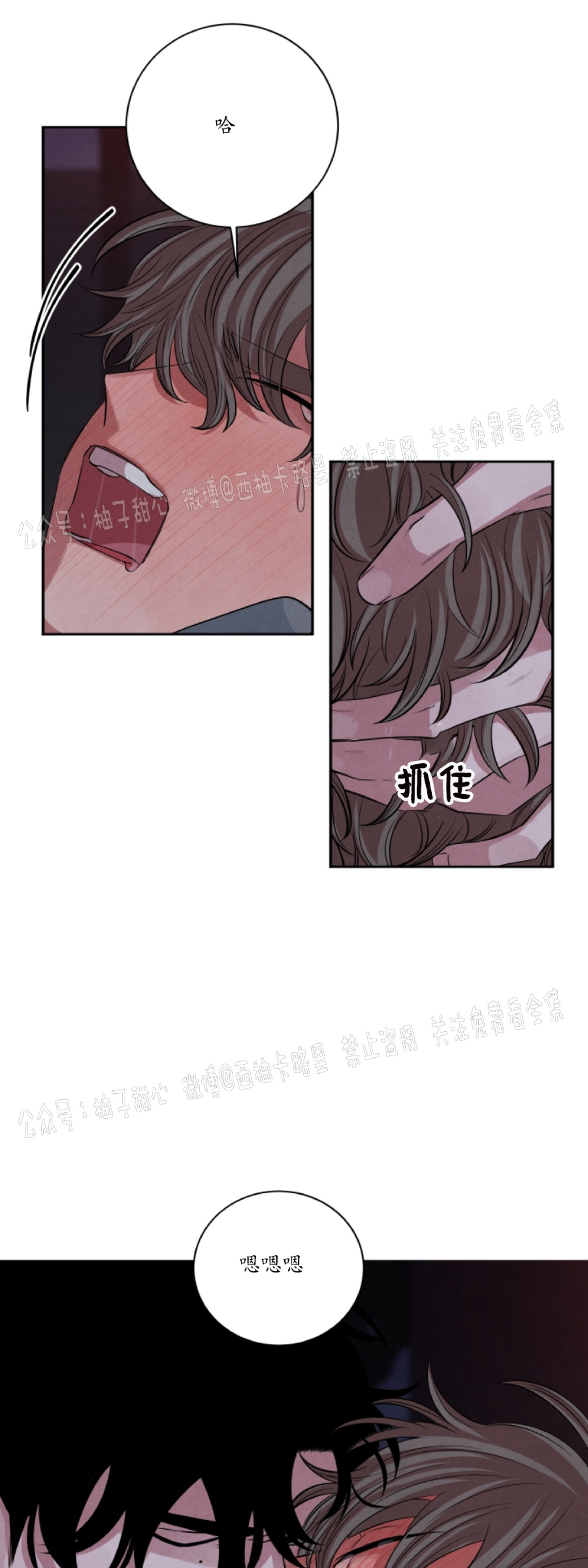 《珊瑚舒展的秘密》漫画最新章节第32话免费下拉式在线观看章节第【26】张图片