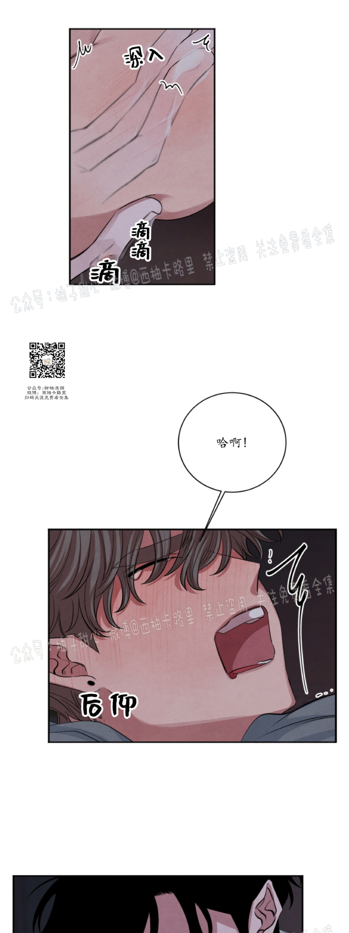 《珊瑚舒展的秘密》漫画最新章节第32话免费下拉式在线观看章节第【5】张图片