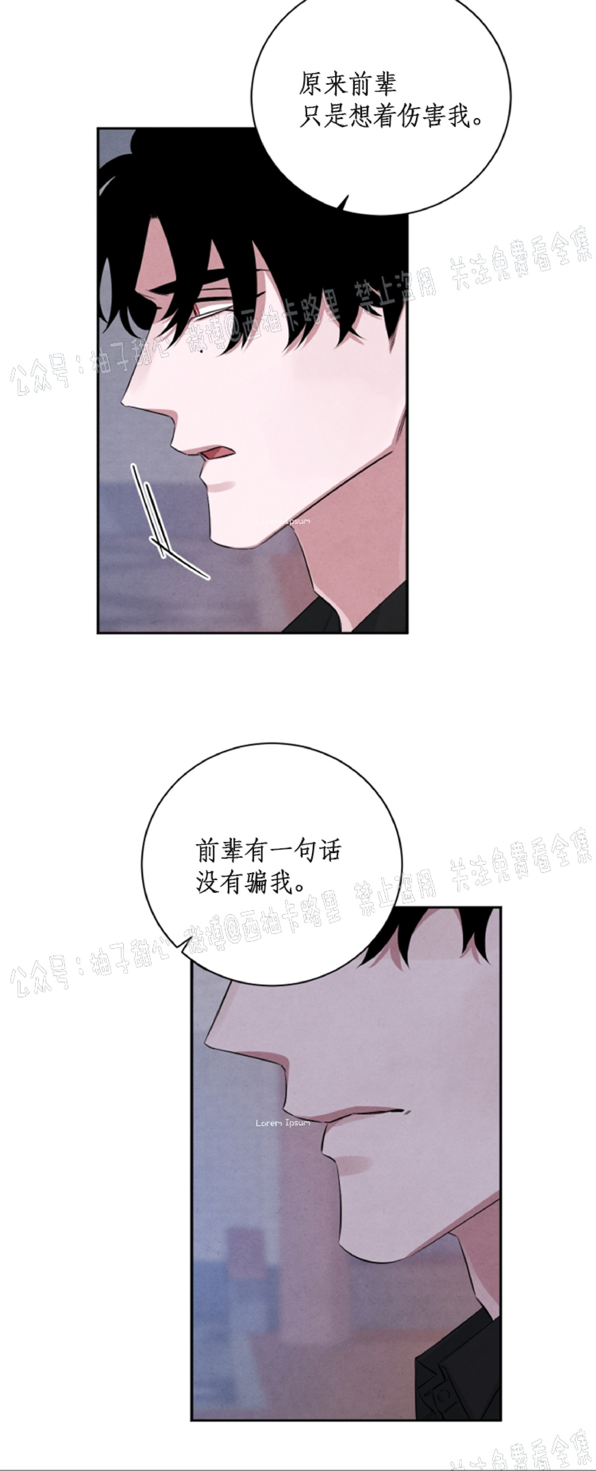 《珊瑚舒展的秘密》漫画最新章节第37话免费下拉式在线观看章节第【31】张图片