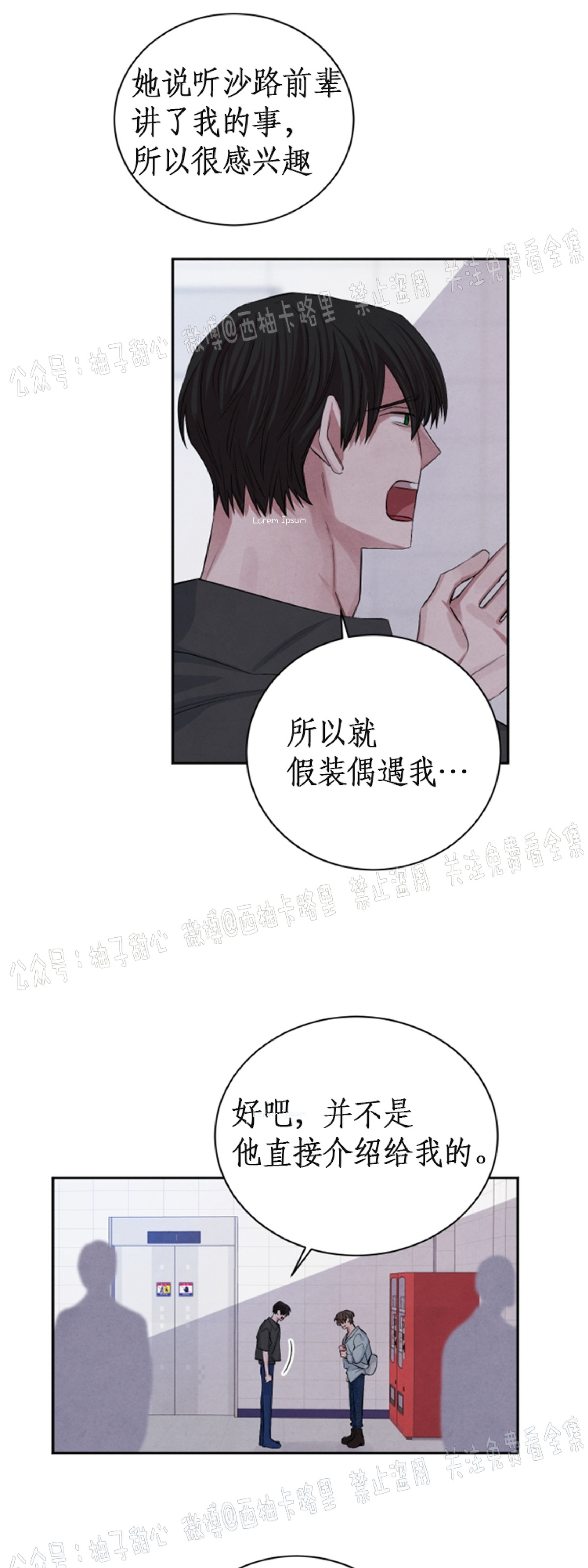 《珊瑚舒展的秘密》漫画最新章节第37话免费下拉式在线观看章节第【4】张图片