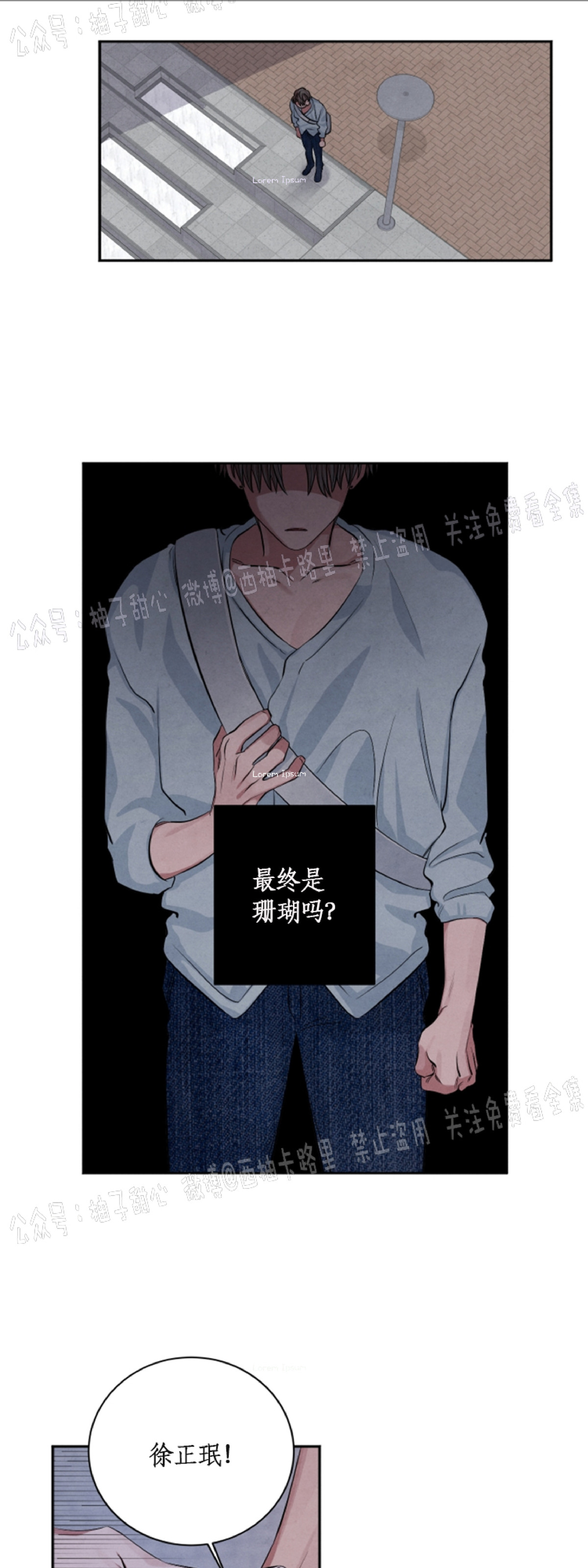 《珊瑚舒展的秘密》漫画最新章节第37话免费下拉式在线观看章节第【24】张图片