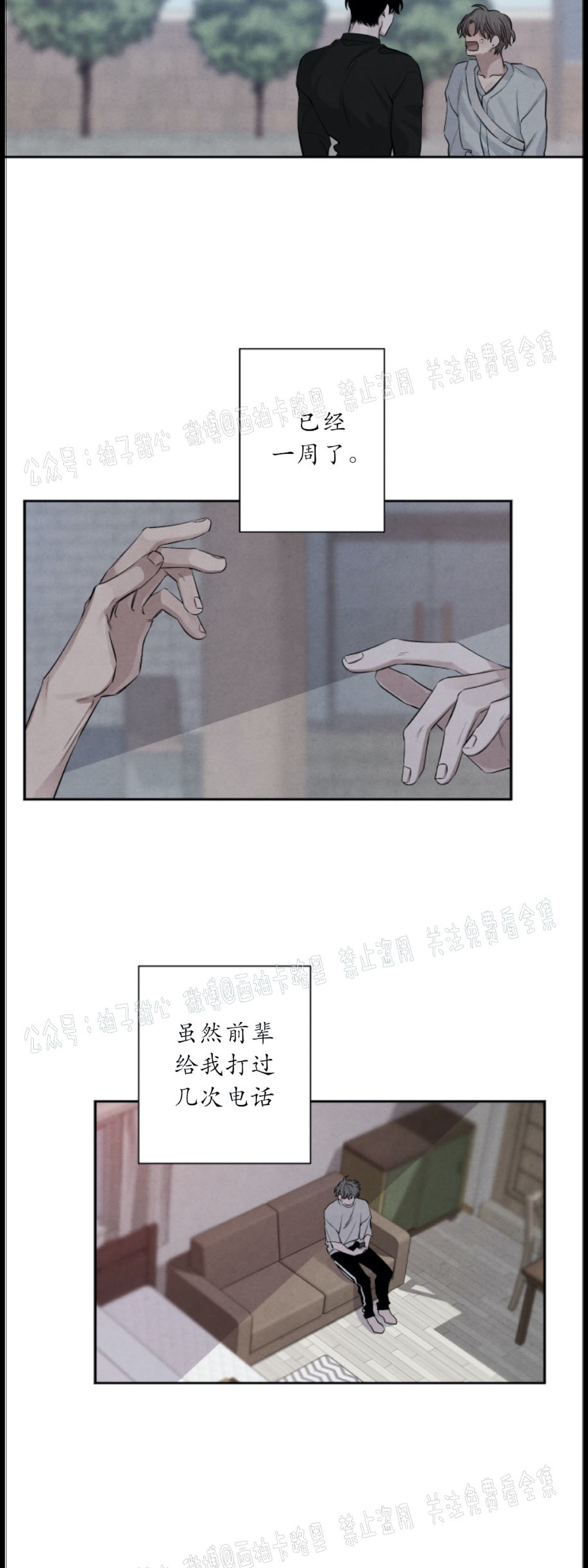 《珊瑚舒展的秘密》漫画最新章节第38话免费下拉式在线观看章节第【5】张图片