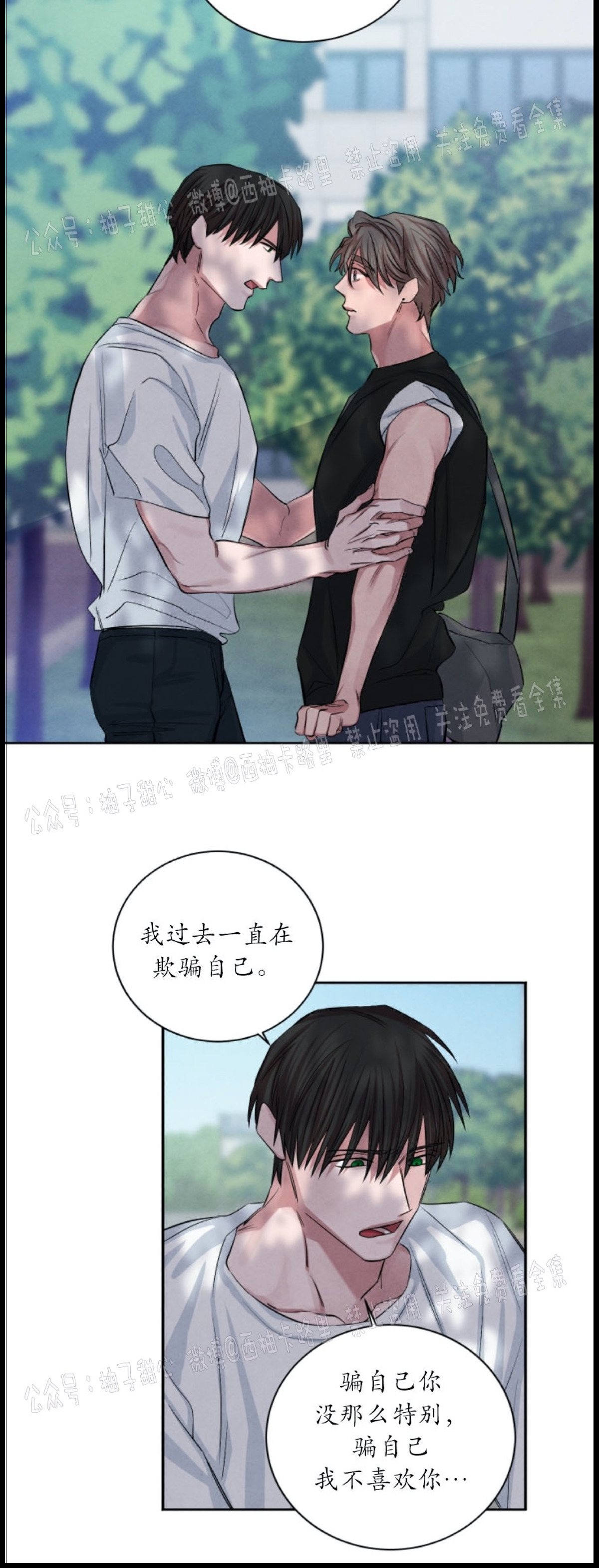 《珊瑚舒展的秘密》漫画最新章节第38话免费下拉式在线观看章节第【11】张图片