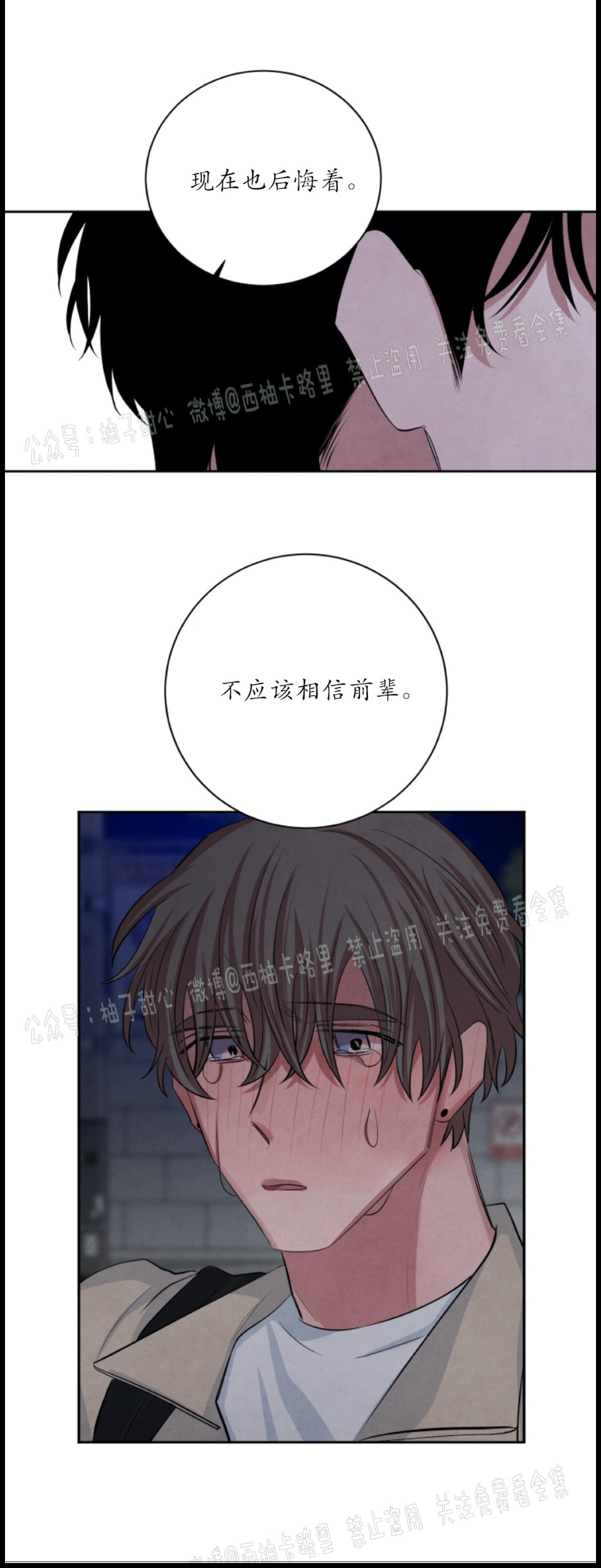 《珊瑚舒展的秘密》漫画最新章节第38话免费下拉式在线观看章节第【34】张图片