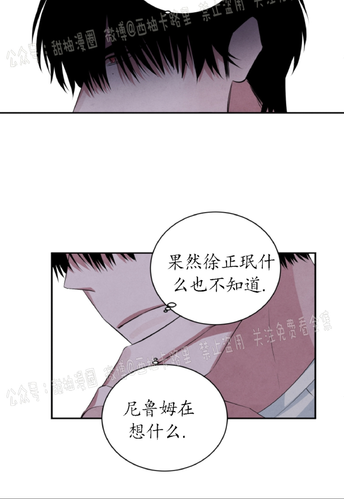 《珊瑚舒展的秘密》漫画最新章节第42话免费下拉式在线观看章节第【21】张图片