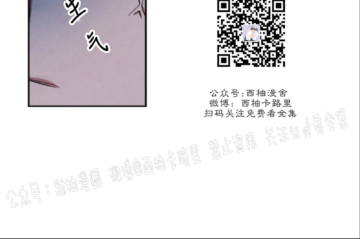 《珊瑚舒展的秘密》漫画最新章节第42话免费下拉式在线观看章节第【30】张图片