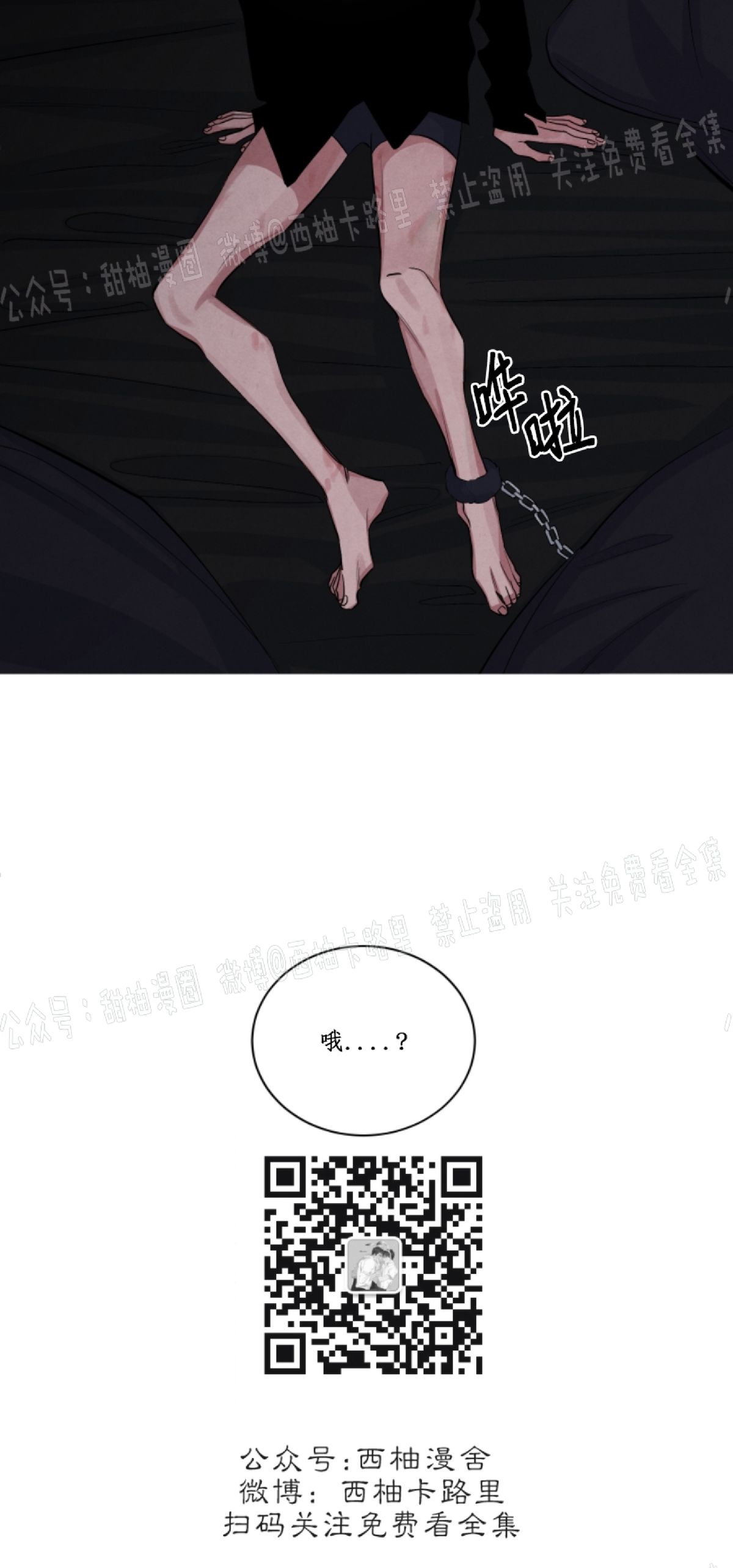 《珊瑚舒展的秘密》漫画最新章节第43话免费下拉式在线观看章节第【26】张图片