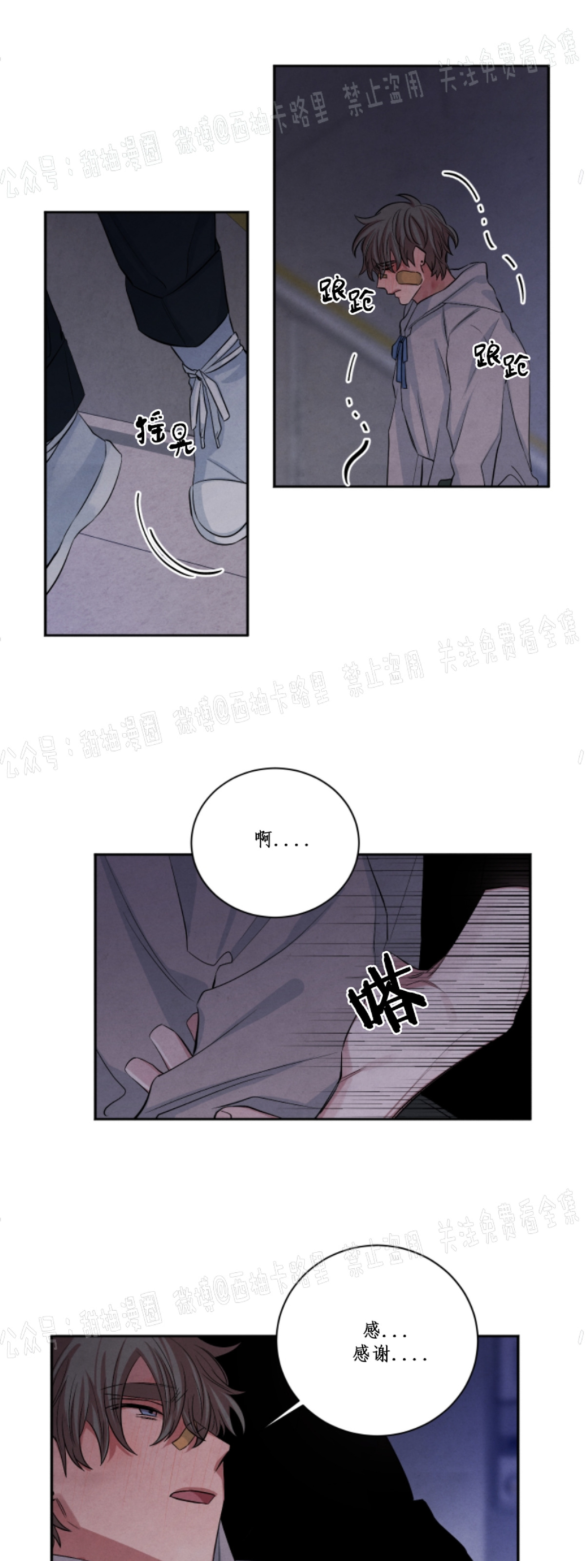 《珊瑚舒展的秘密》漫画最新章节第43话免费下拉式在线观看章节第【22】张图片