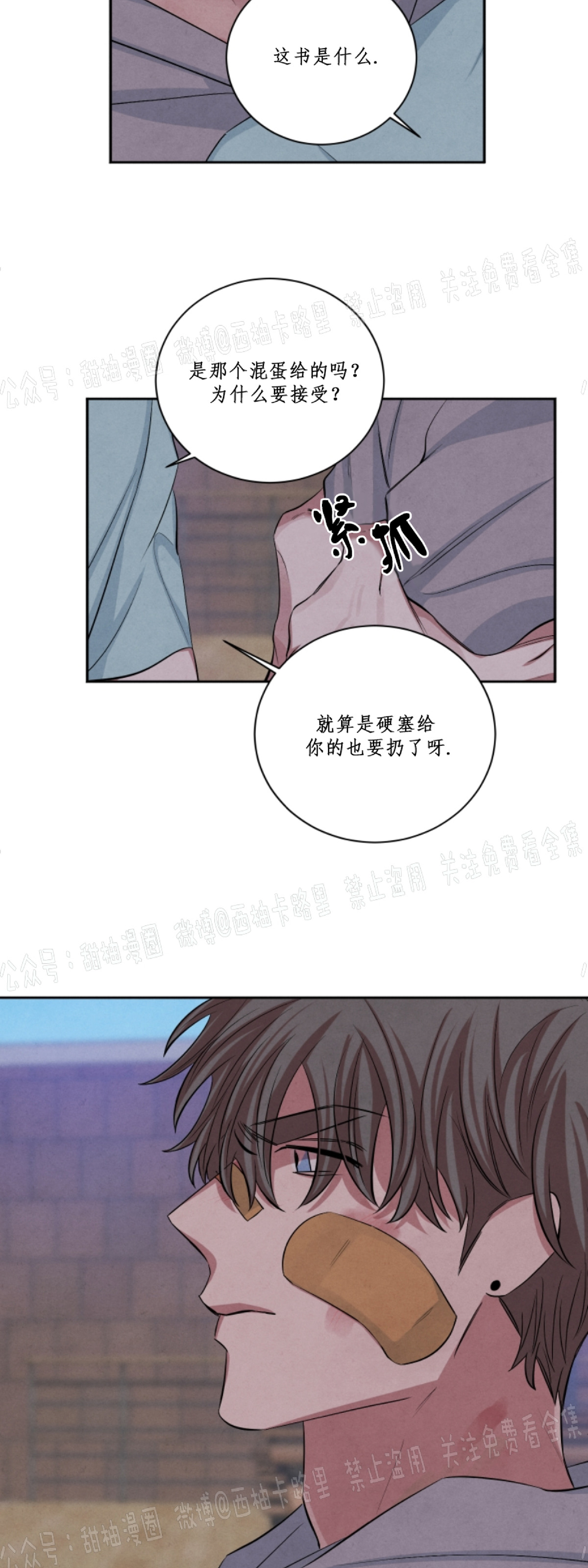 《珊瑚舒展的秘密》漫画最新章节第43话免费下拉式在线观看章节第【8】张图片