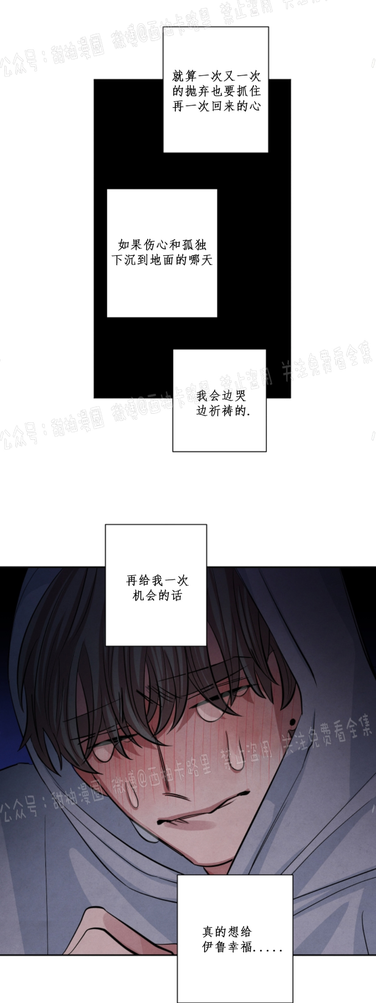 《珊瑚舒展的秘密》漫画最新章节第43话免费下拉式在线观看章节第【16】张图片