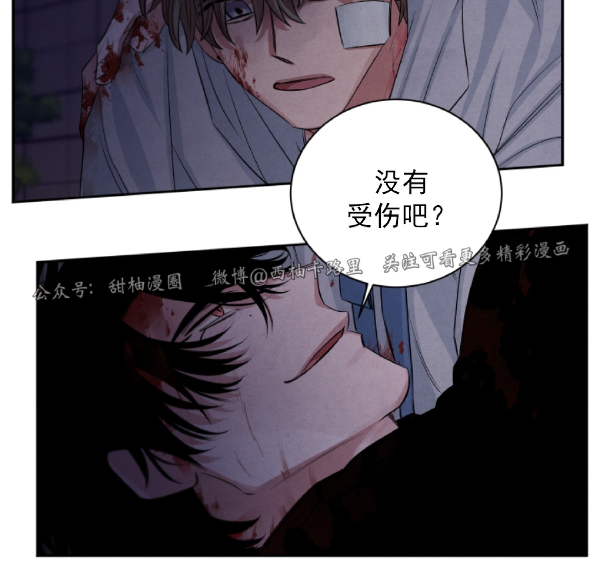 《珊瑚舒展的秘密》漫画最新章节第48话免费下拉式在线观看章节第【31】张图片