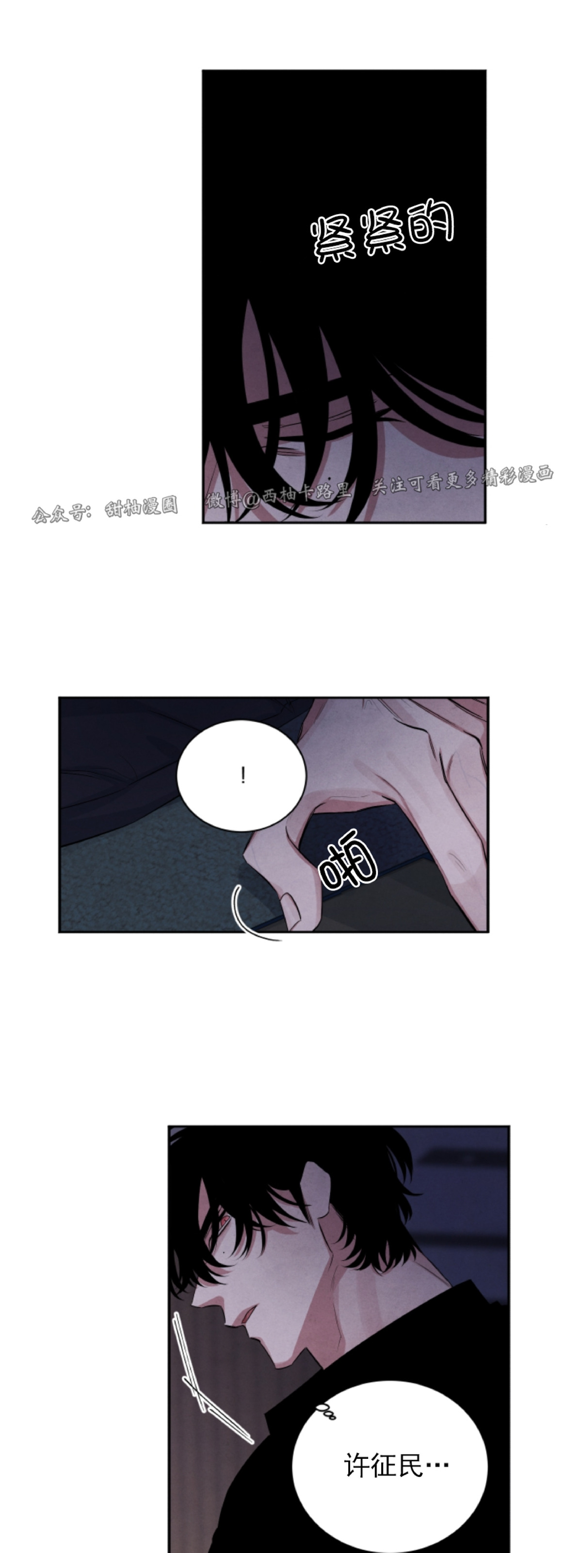 《珊瑚舒展的秘密》漫画最新章节第48话免费下拉式在线观看章节第【4】张图片