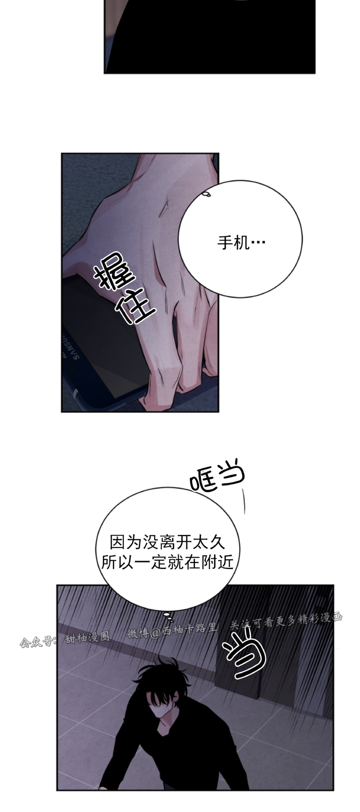 《珊瑚舒展的秘密》漫画最新章节第48话免费下拉式在线观看章节第【5】张图片